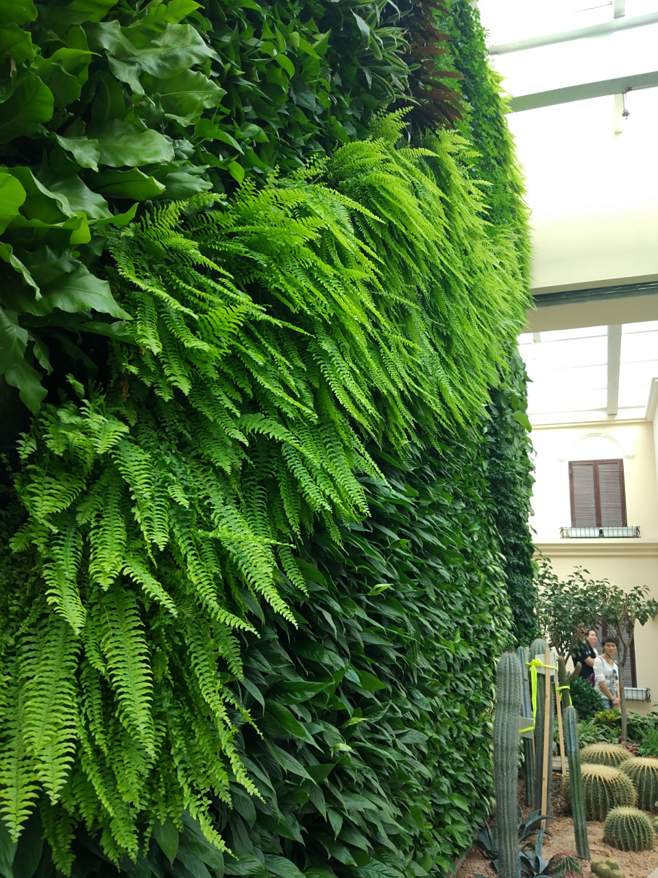 植物墙系列,绿植墙材料,制作,苔藓造景,#健康# 绿植养护#植物墙