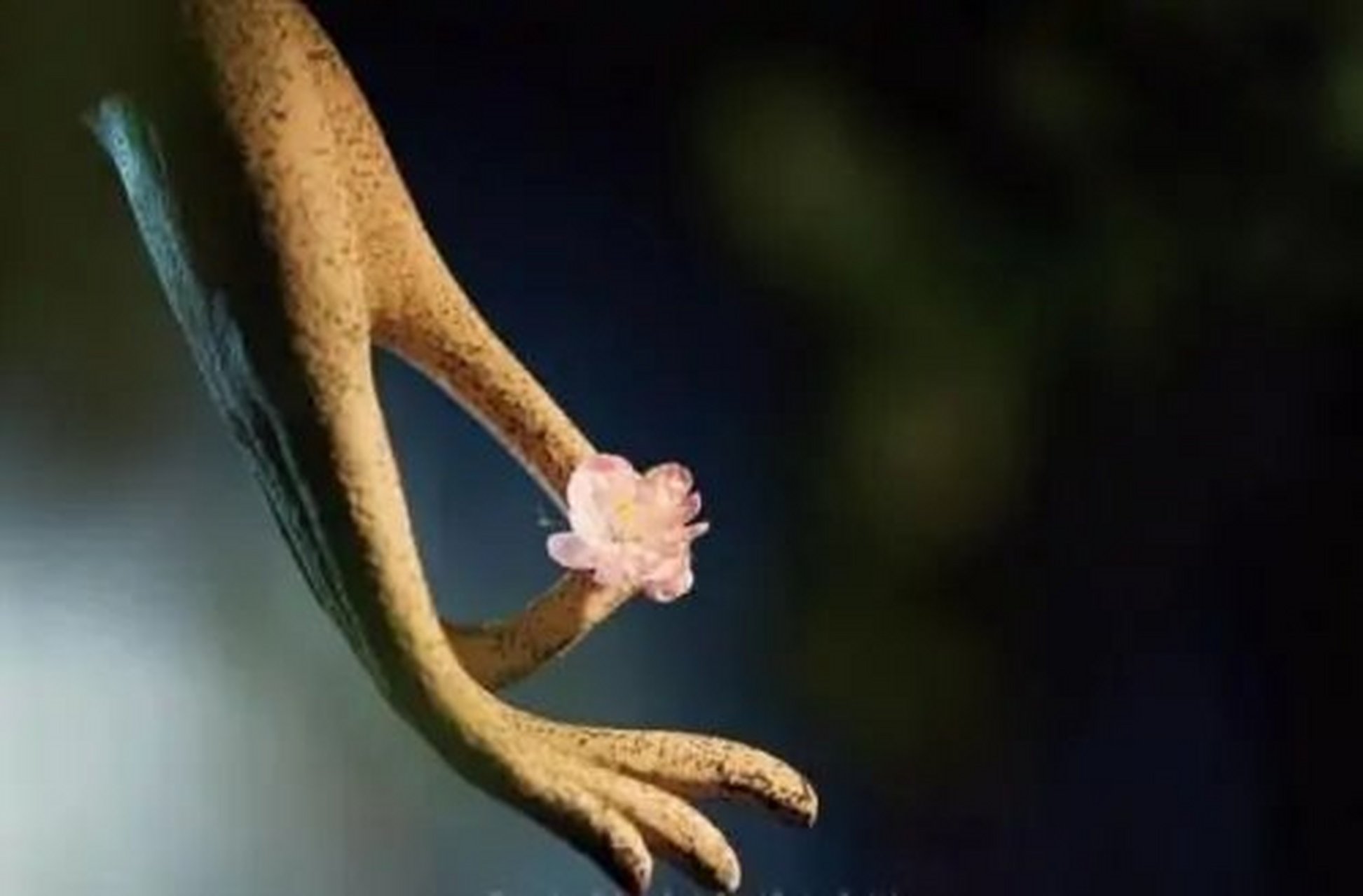 狂心顿歇,歇即菩提.