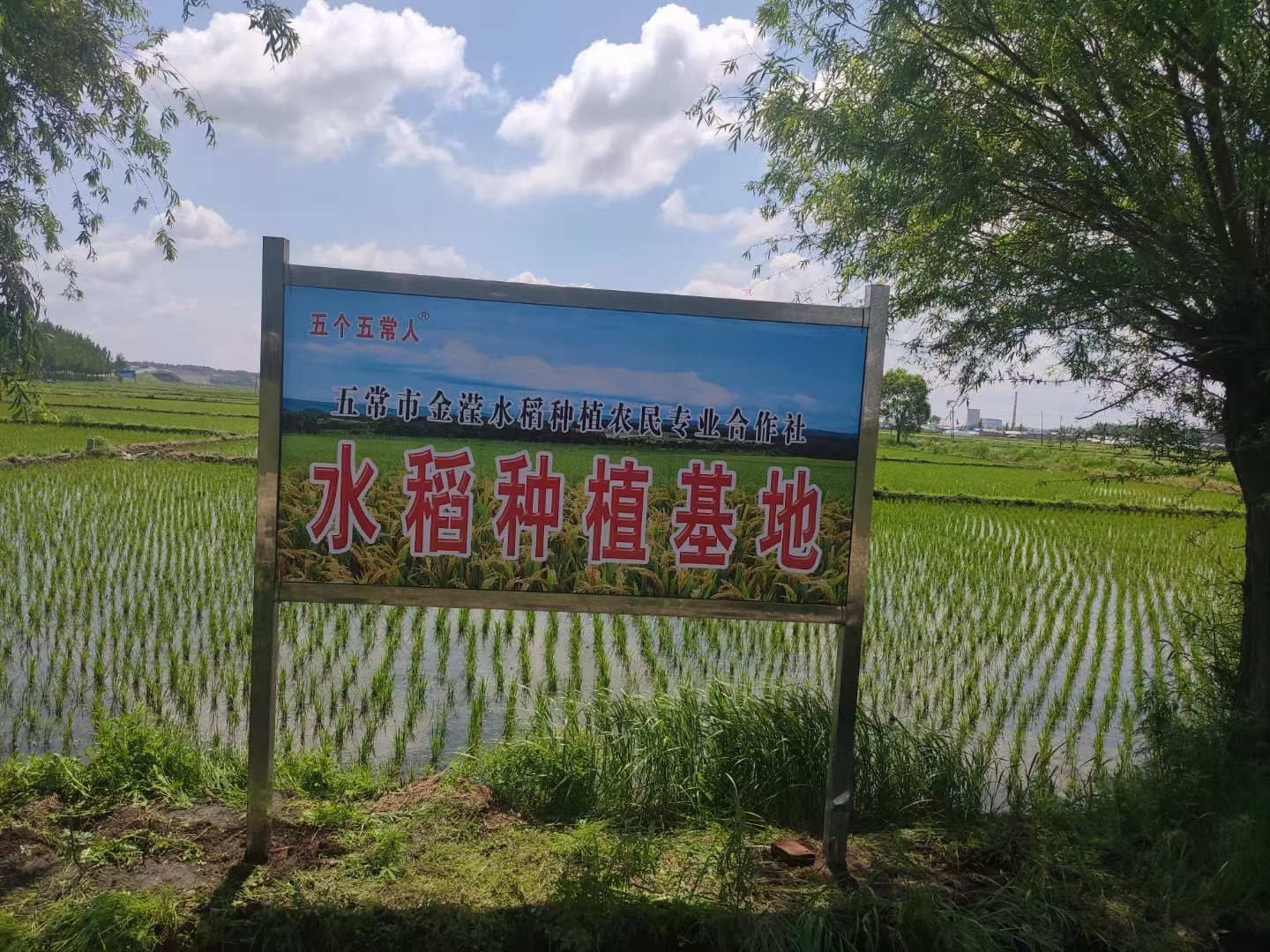 图中有一块牌子,上面写着"水稻种植基地",仿佛在向人们展示着这片土地