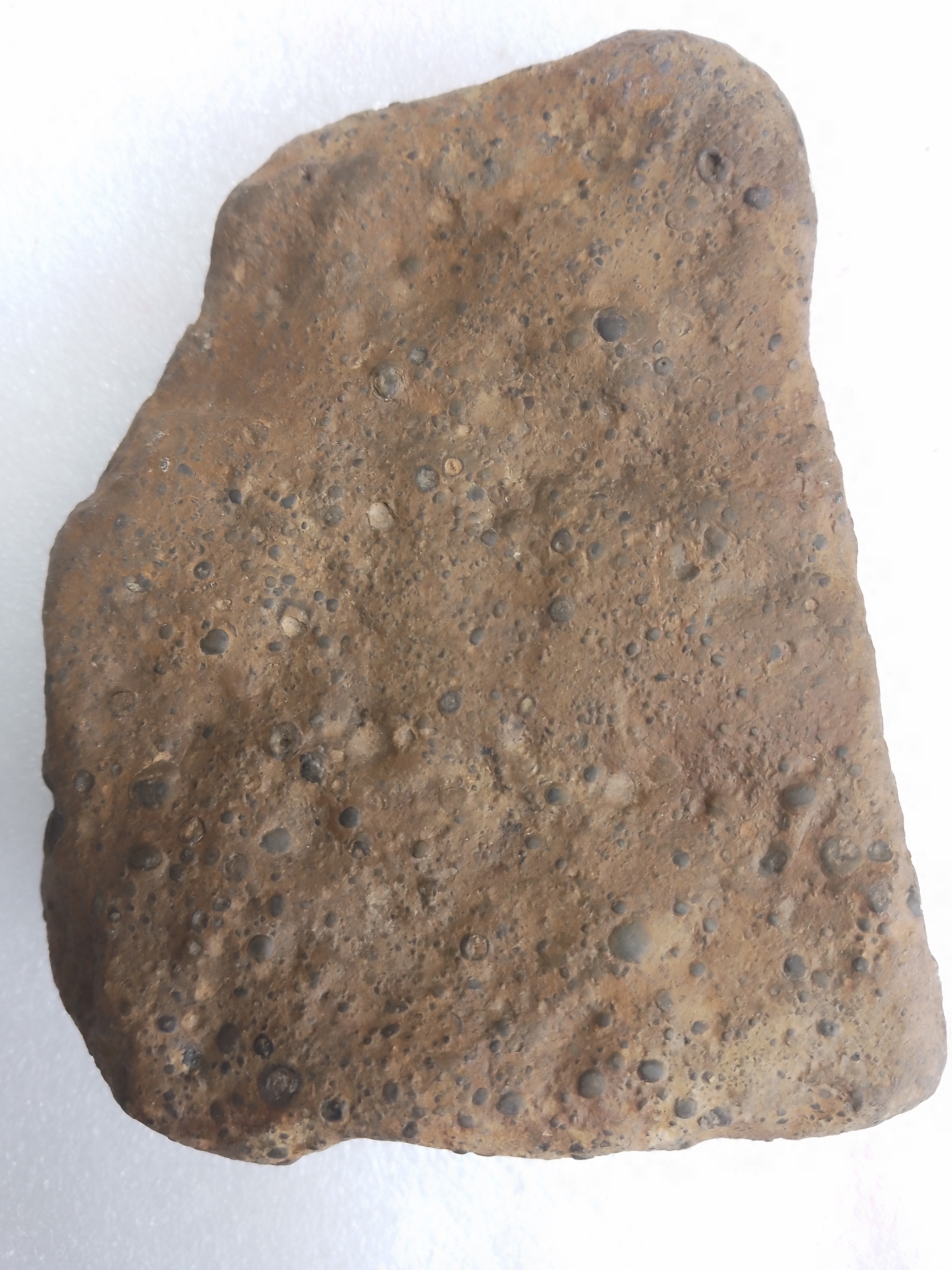 真正的球粒陨石