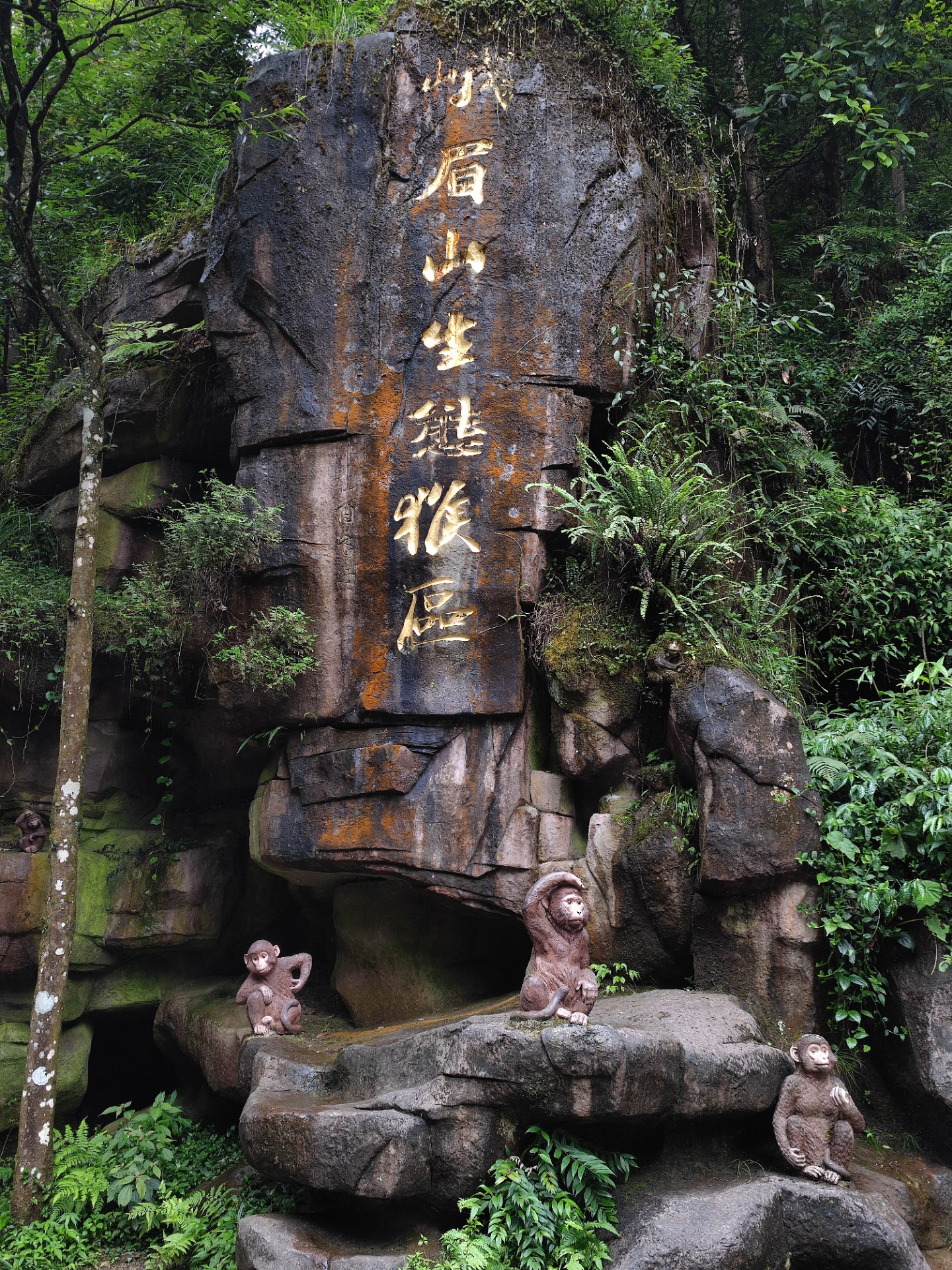 峨眉山的四大奇观图片