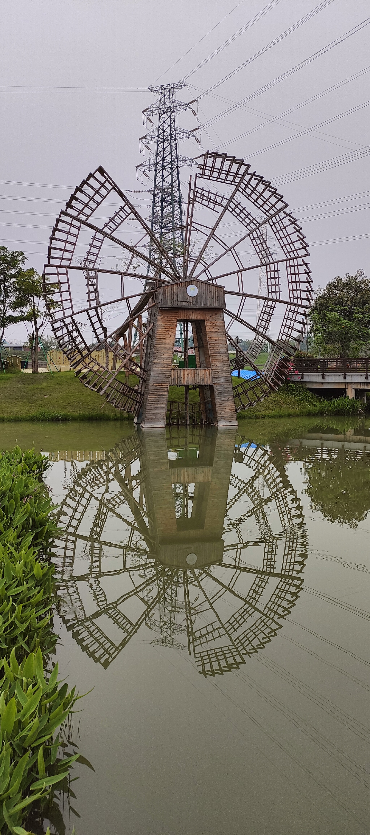 佛山王借岗森林公园图片