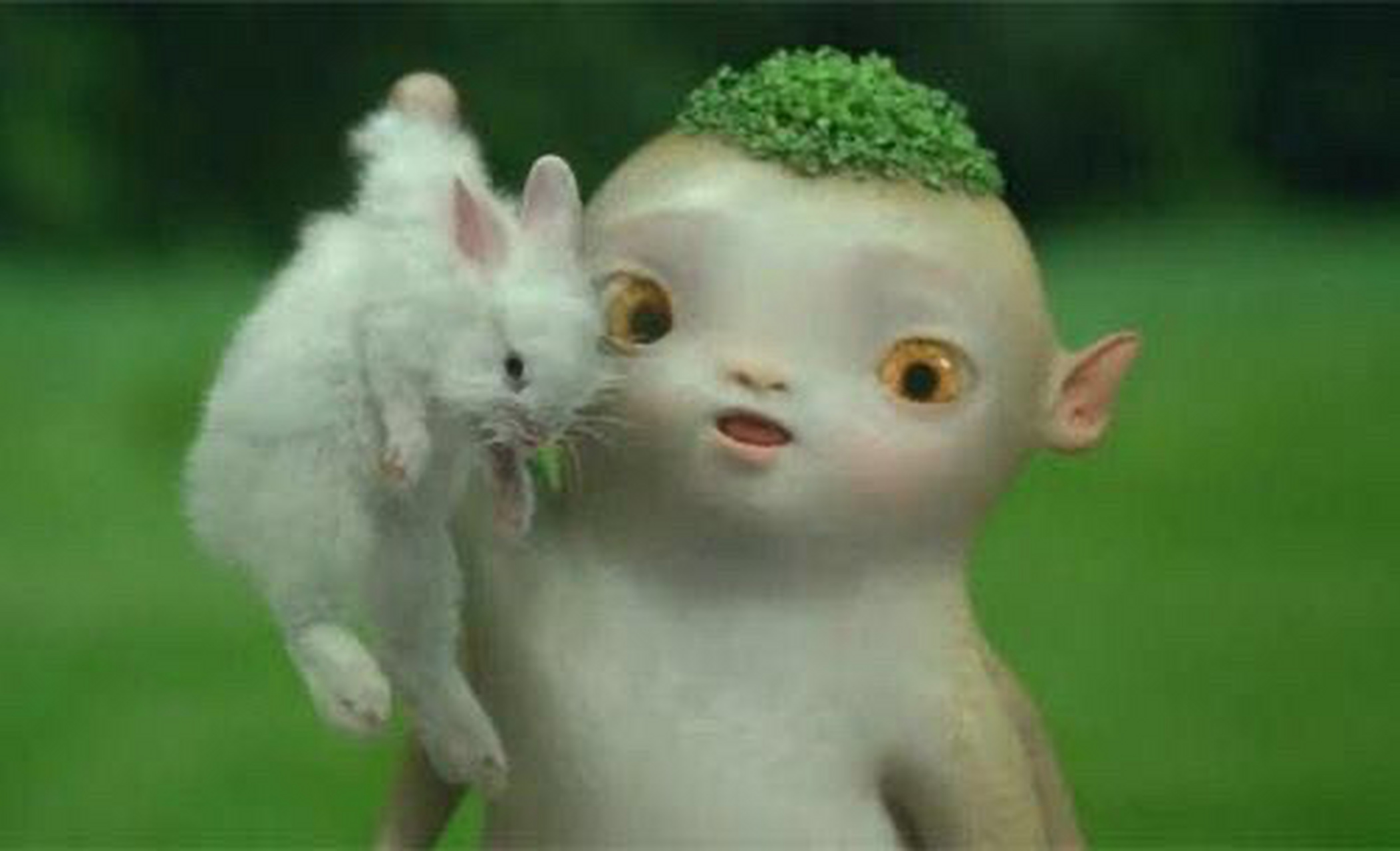 有哪些小可爱是胡巴的忠实粉丝吖?