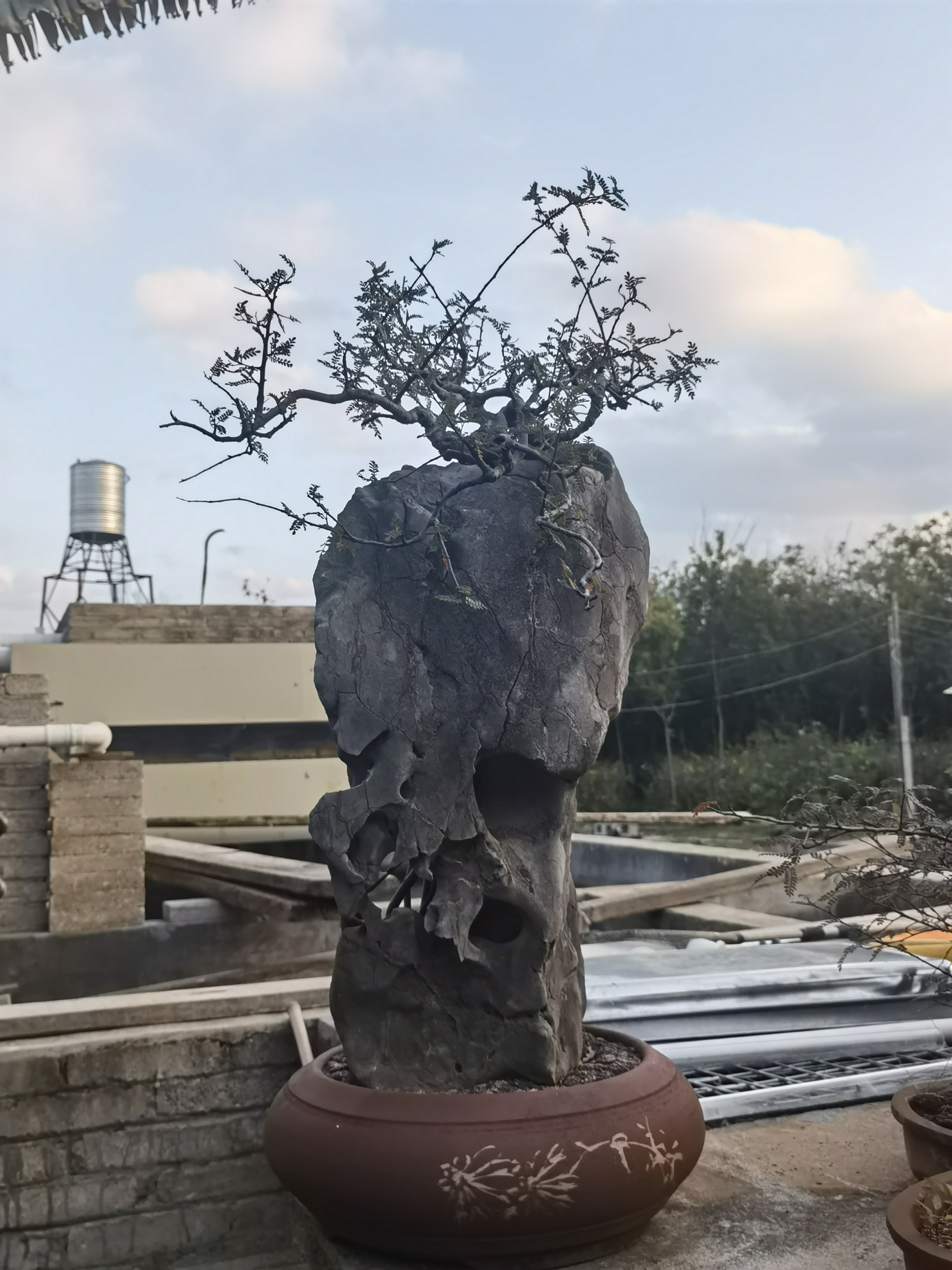 多少风雨都经过 最是亲情放不下. 秋雨无心敲落叶, 冬雪有意润梅花