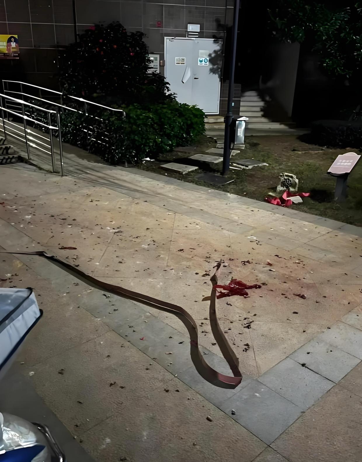 晚上吃完饭后出去散步,谁承想,差点被吓个魂飞魄散