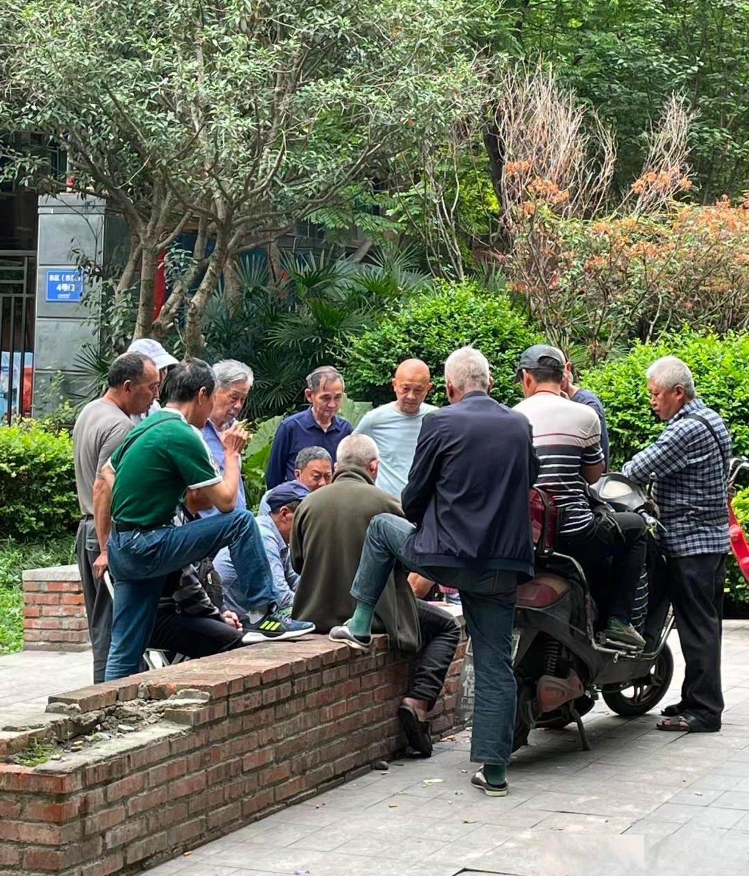 现在农村的老人们的生活方式很简单,他们常聚在村口大树下聊天,分享