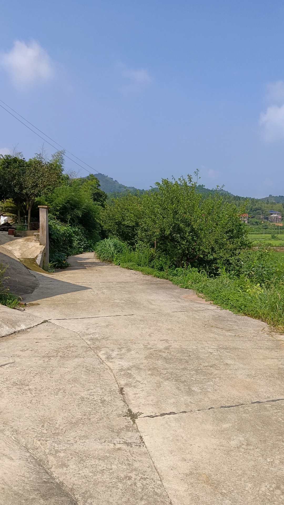 山脚下,几间白墙红顶的房屋掩映在绿树丛中,稻田里的水映出天空的蓝