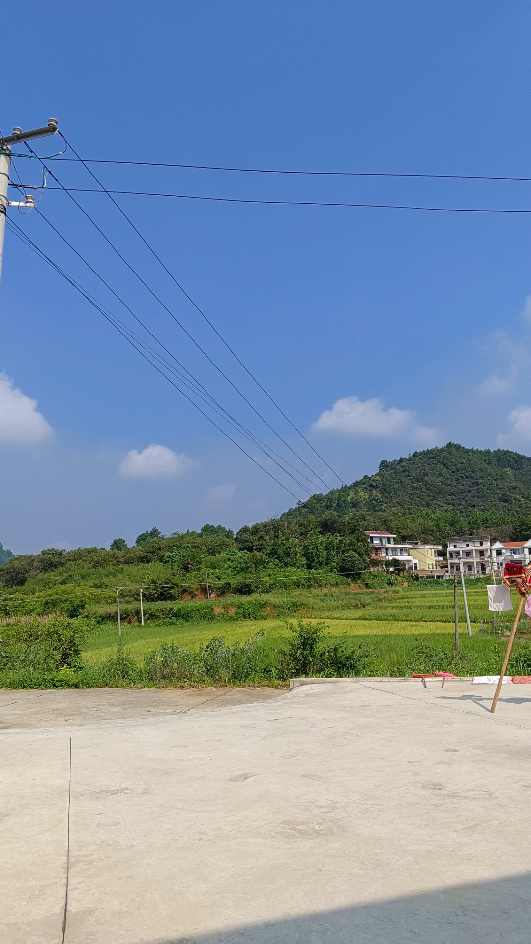 山脚下,几间白墙红顶的房屋掩映在绿树丛中,稻田里的水映出天空的蓝