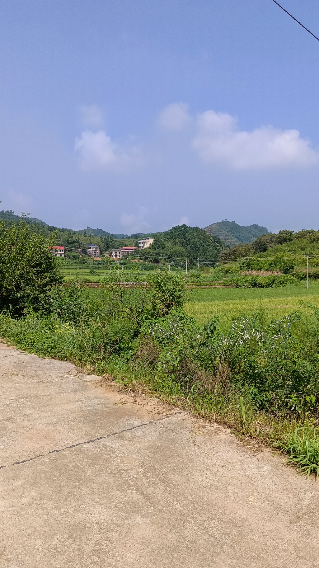 山脚下,几间白墙红顶的房屋掩映在绿树丛中,稻田里的水映出天空的蓝
