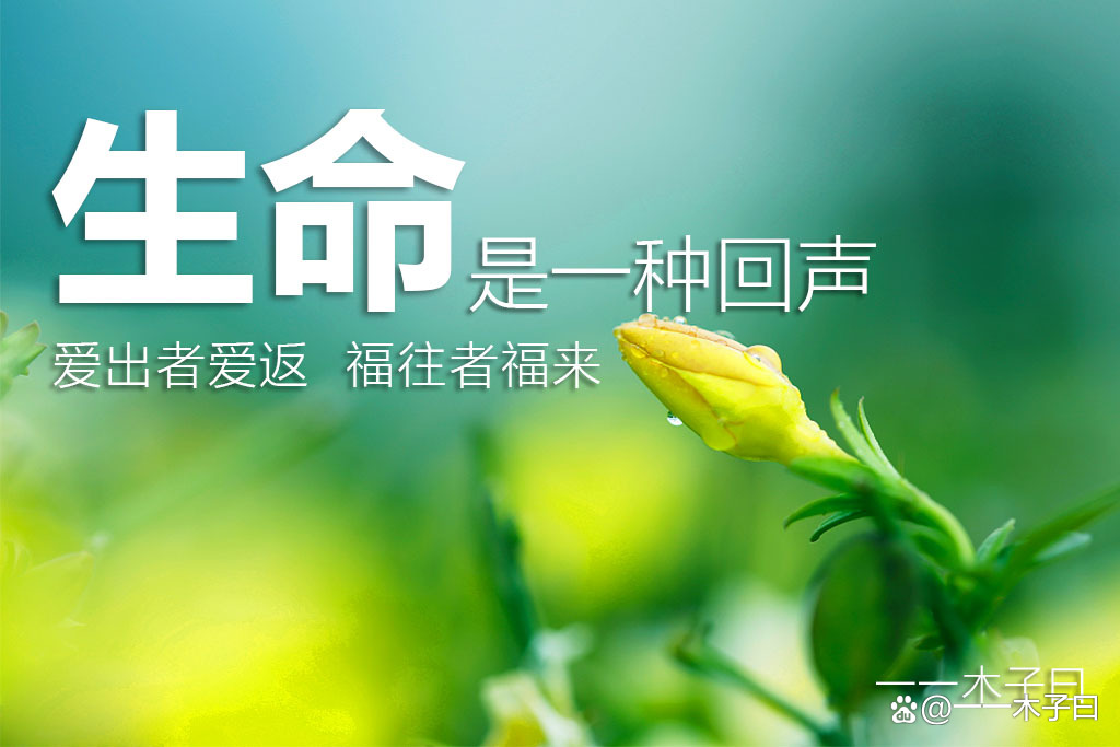 你想让别人怎样对待你,你就怎样对待别人;我一直以为,我们所做的一切