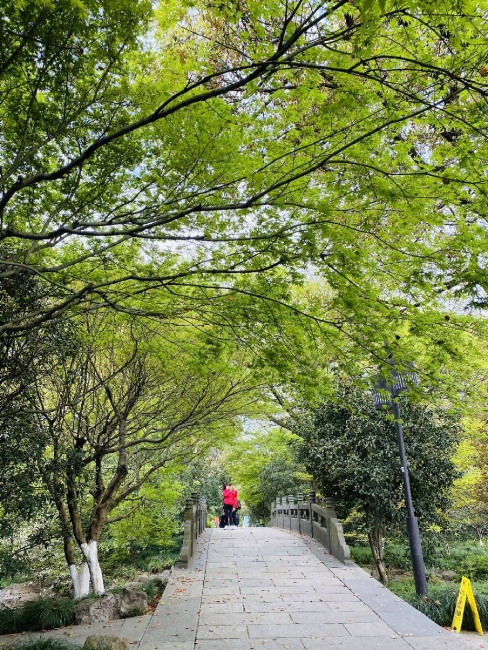 济南市市中区的小龟山山体公园里竟然响起了悦耳的维吾尔族舞曲,一群