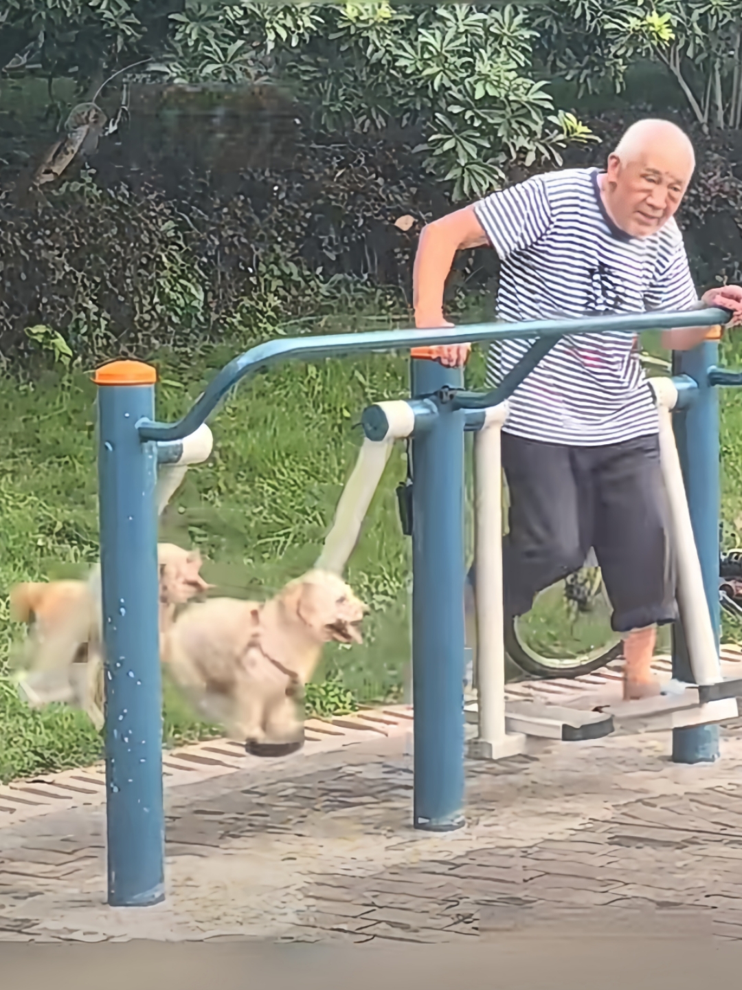 狗儿和爷爷