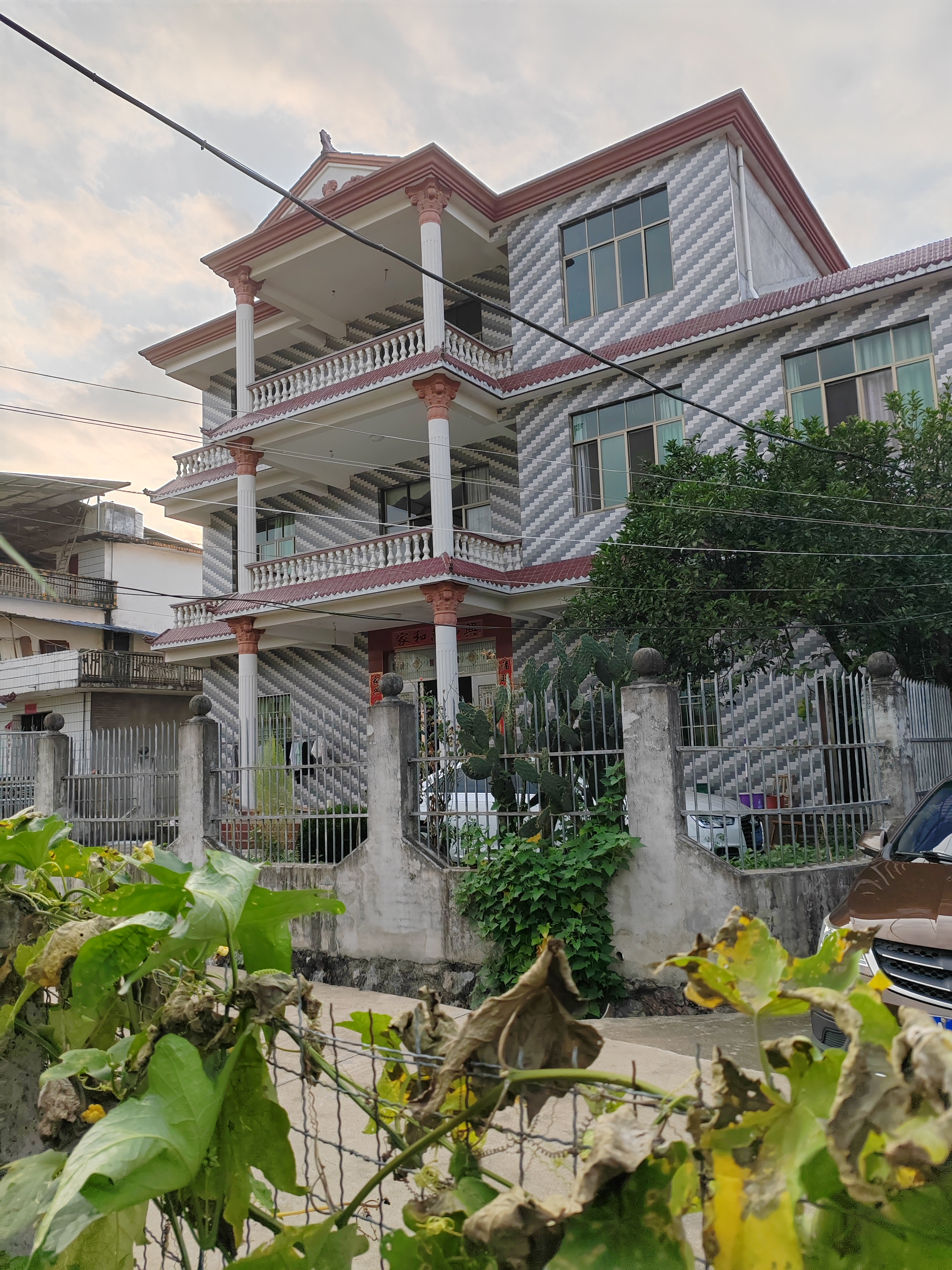 国庆回老家,妈妈种了好多菜玉米长的高高的,红薯叶长的翠绿翠绿的