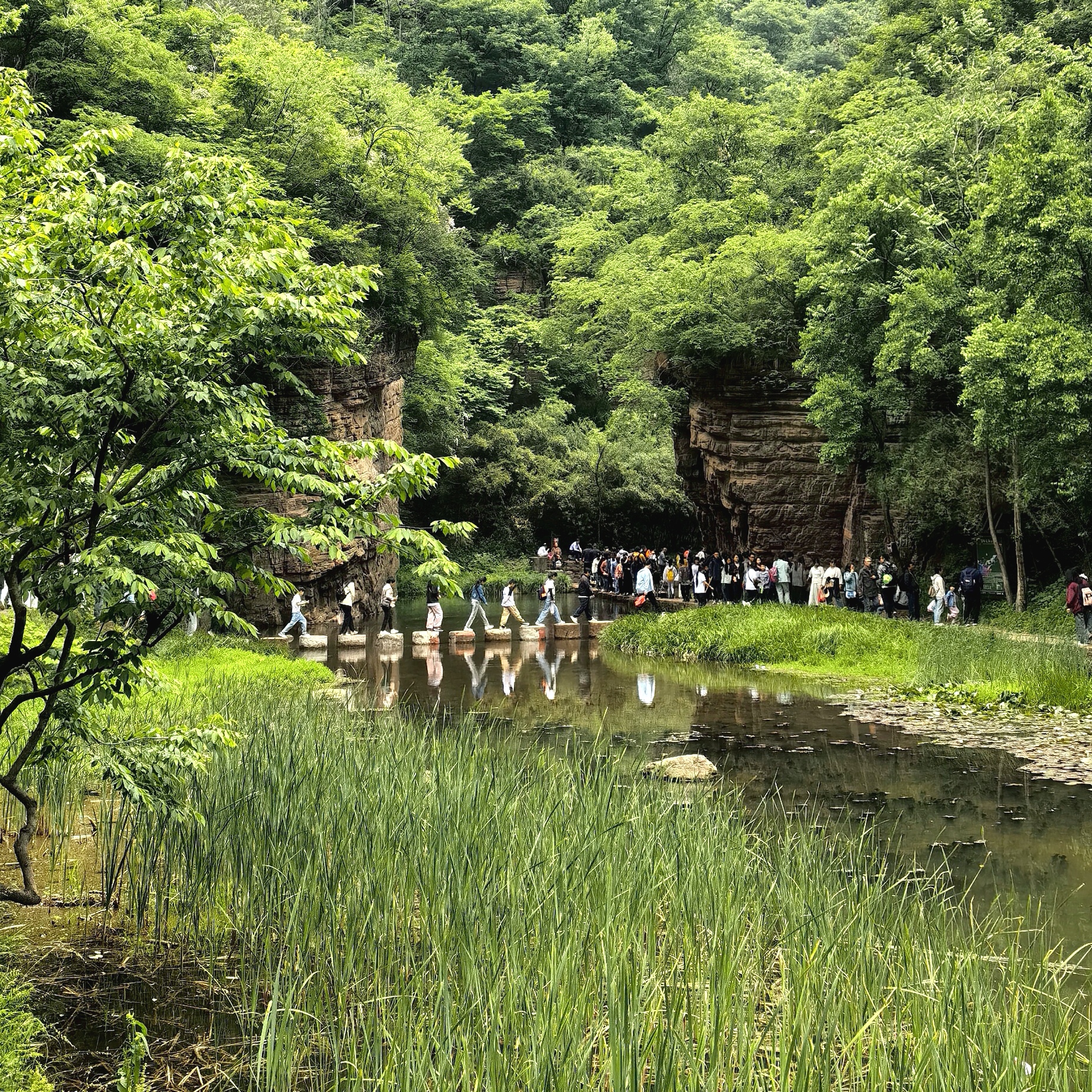 被称为河南山水画廊的国家地质公园——洛阳龙潭大峡谷处处风景然画