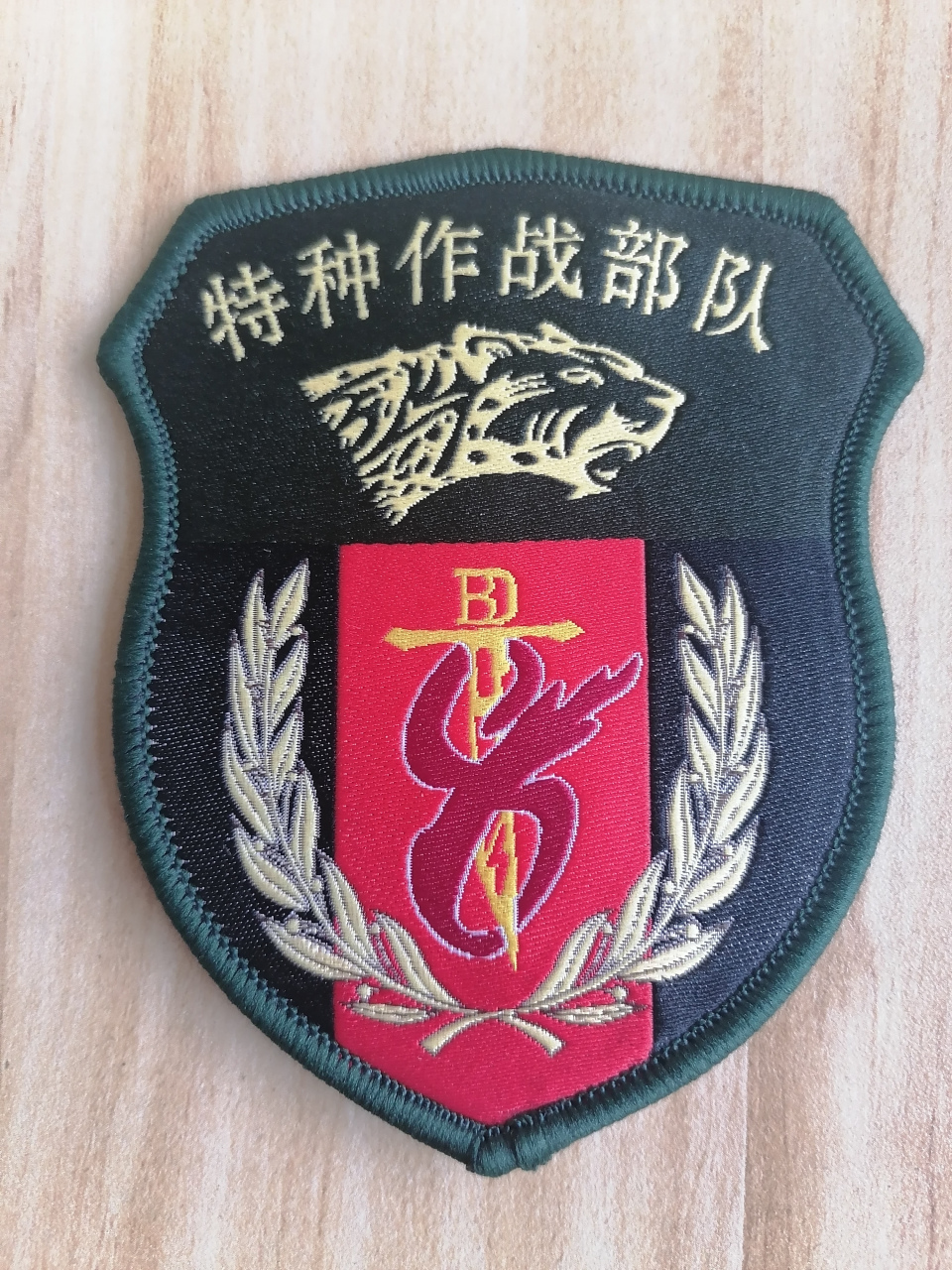 中国特种部队大观(四)(13集团时代) 1.