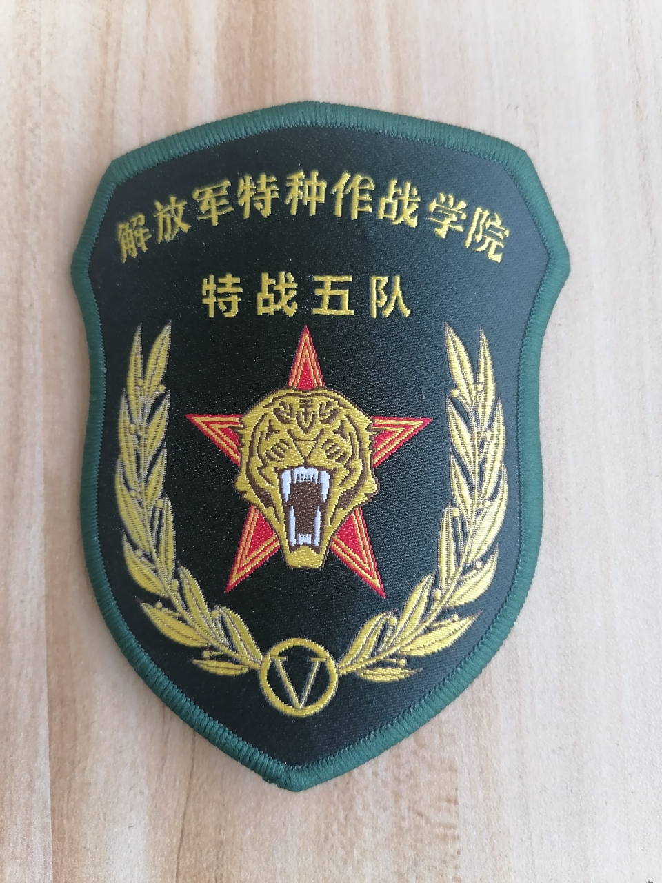 中国特种部队大观(四) 图1:77西南猎豹特战旅(原西南猎鹰).