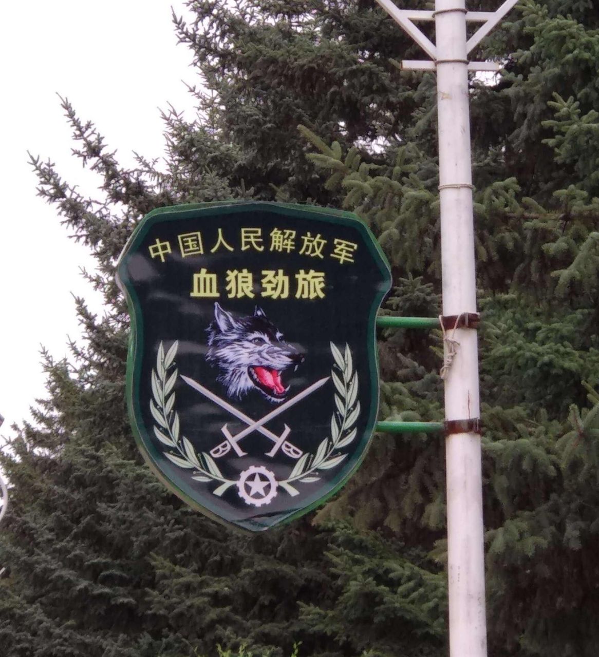 中国特种部队大观(四) 图1:77西南猎豹特战旅(原西南猎鹰).