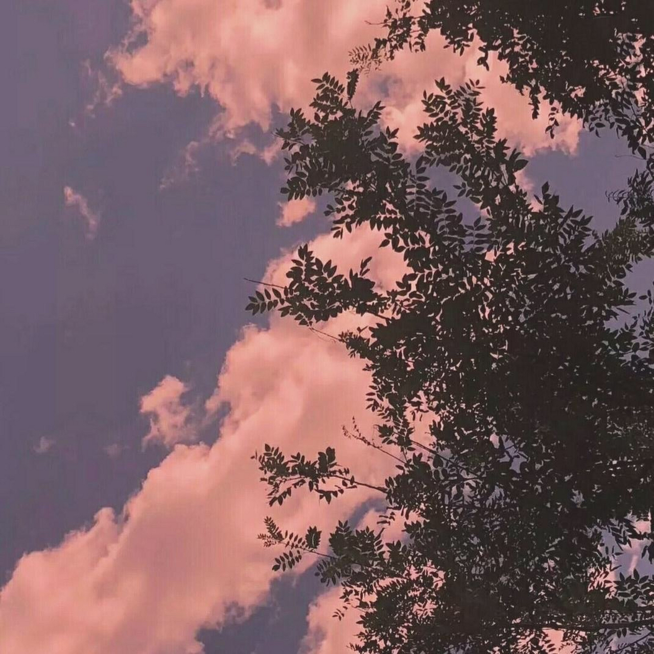 董三万meal 你喜欢吗