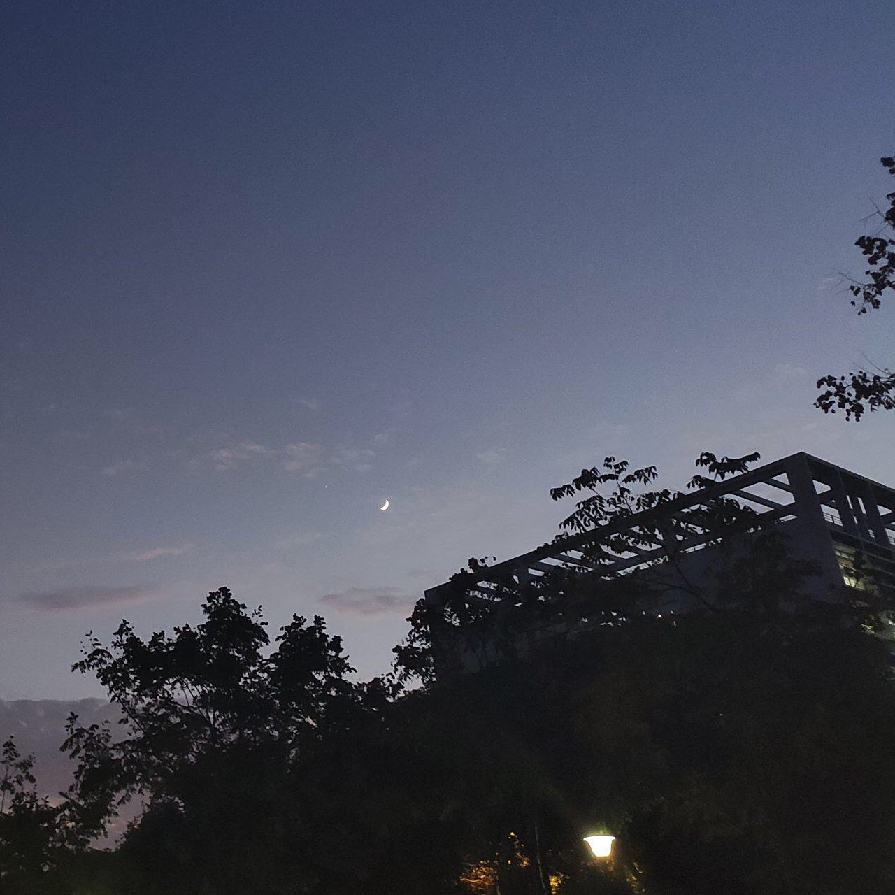 董三万meal 你喜欢吗