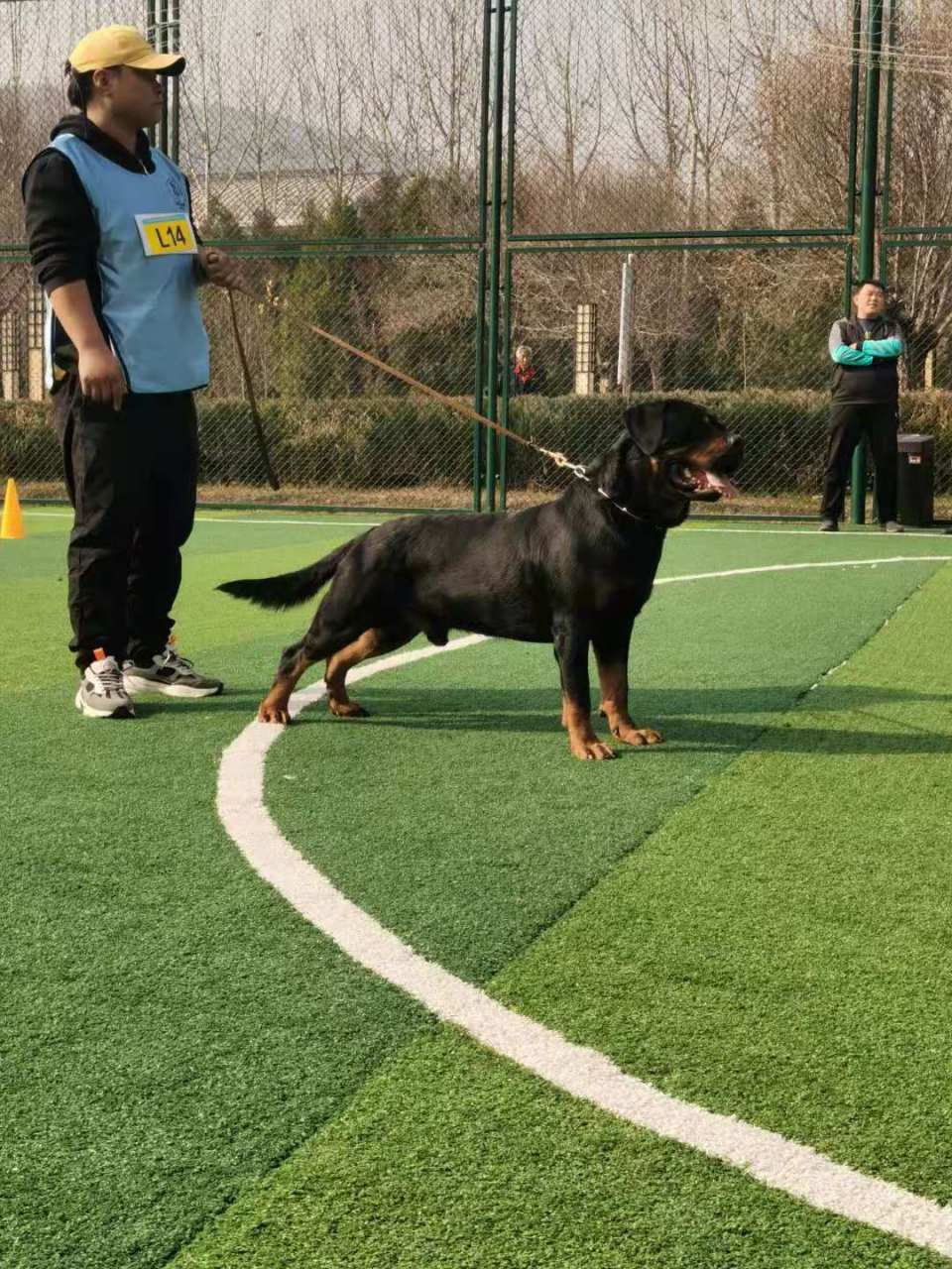 西安新沣犬舍