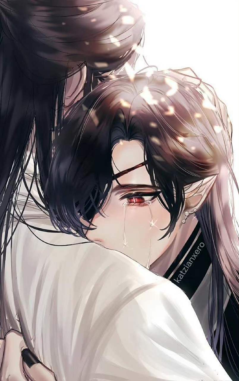 偶尔流泪的花城更让殿下心疼.#天官赐福