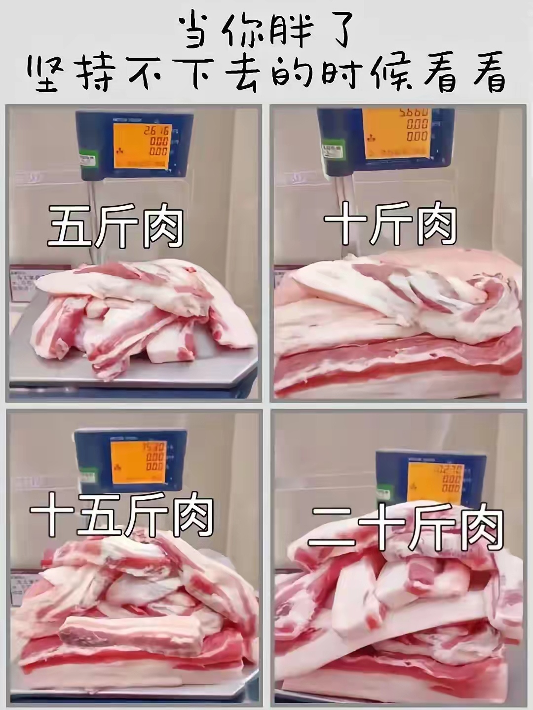 减肥用5斤猪肉图片图片