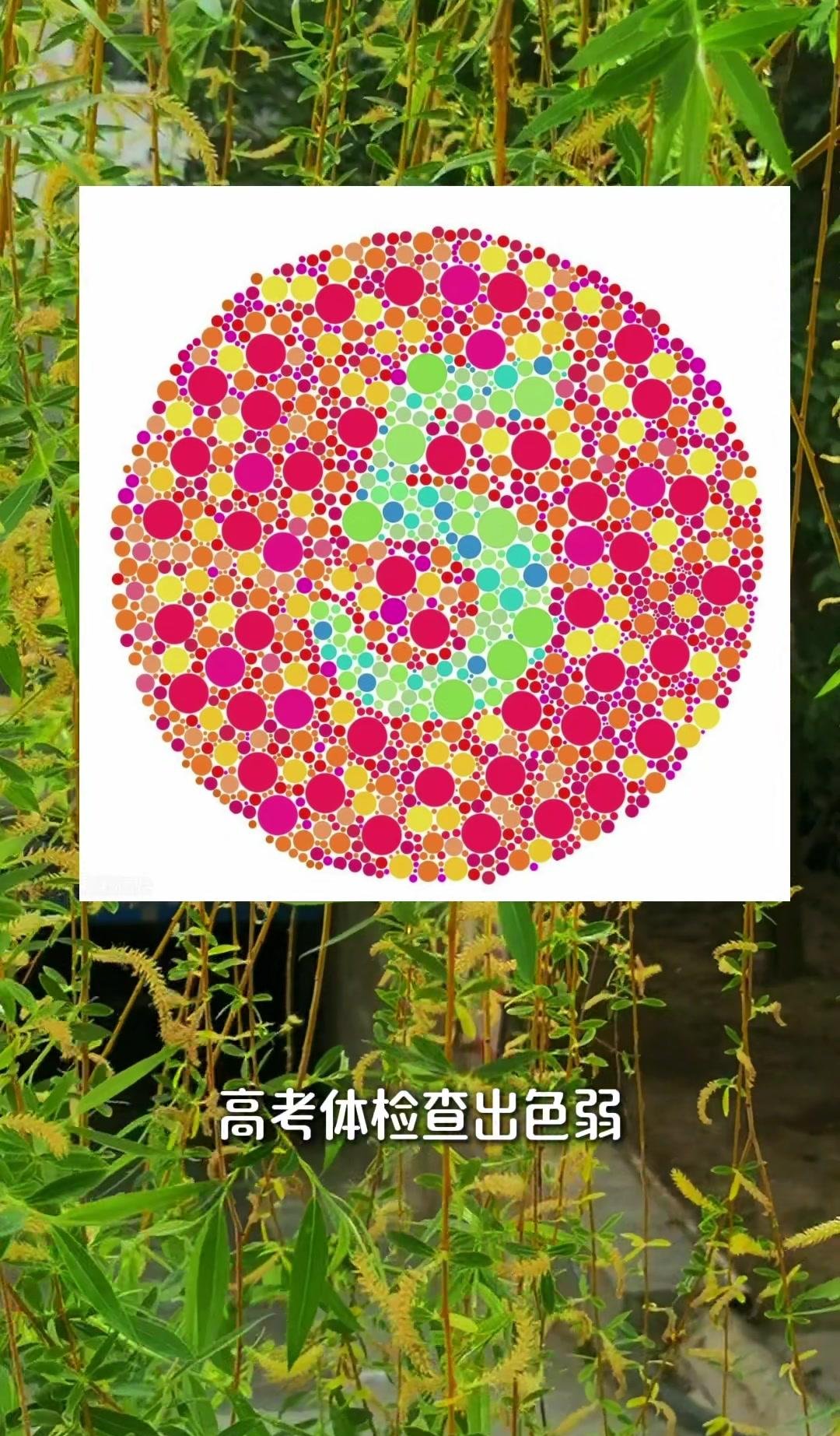 5%.平常大家压根儿不知道自己有这毛病,到了高考体检才冒出来