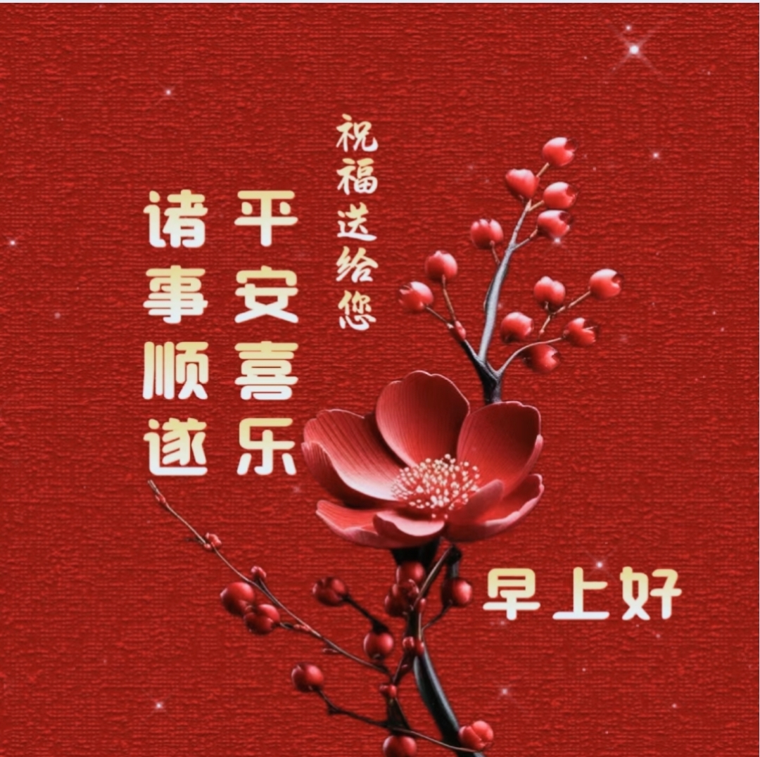 祝福送花的图片大全图片