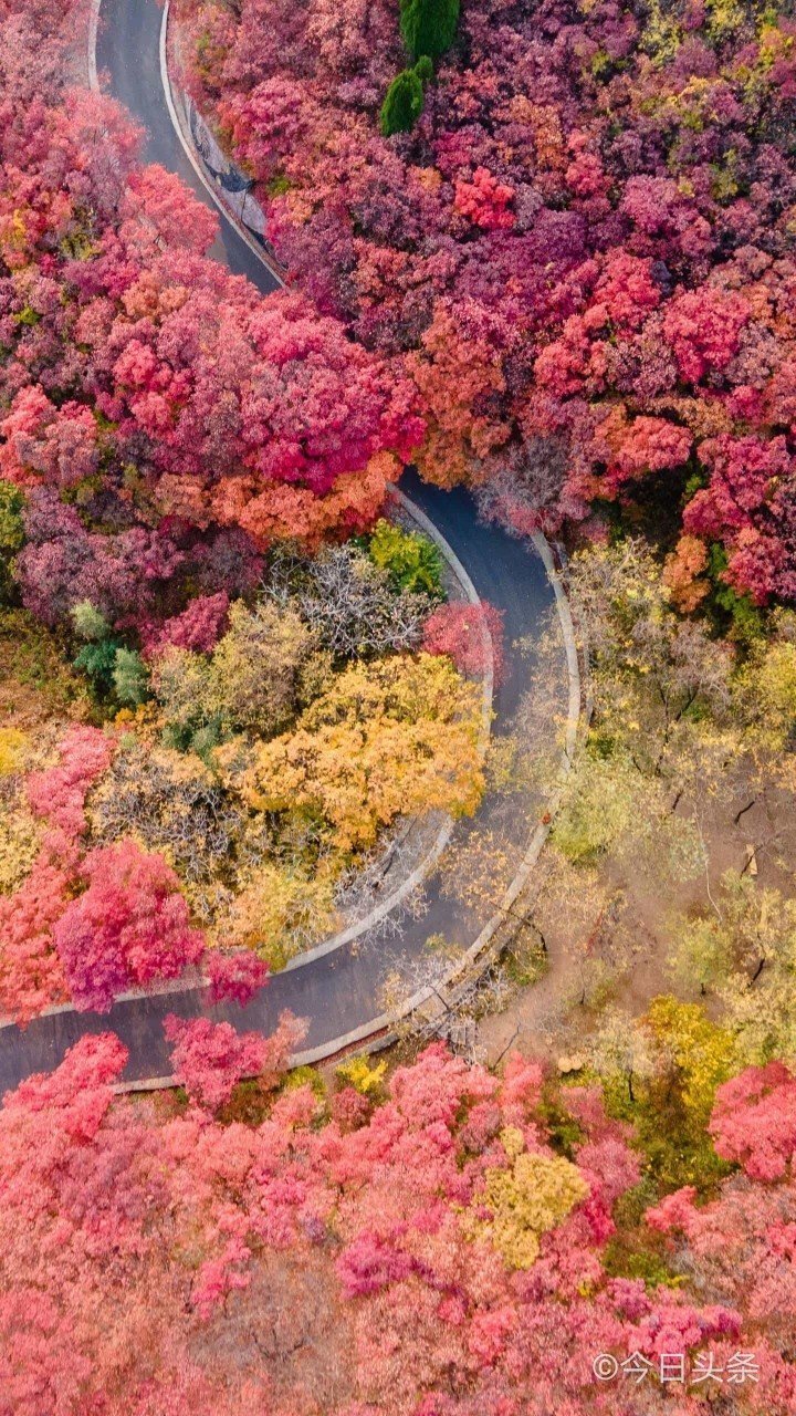 夏#  武汉入夏了