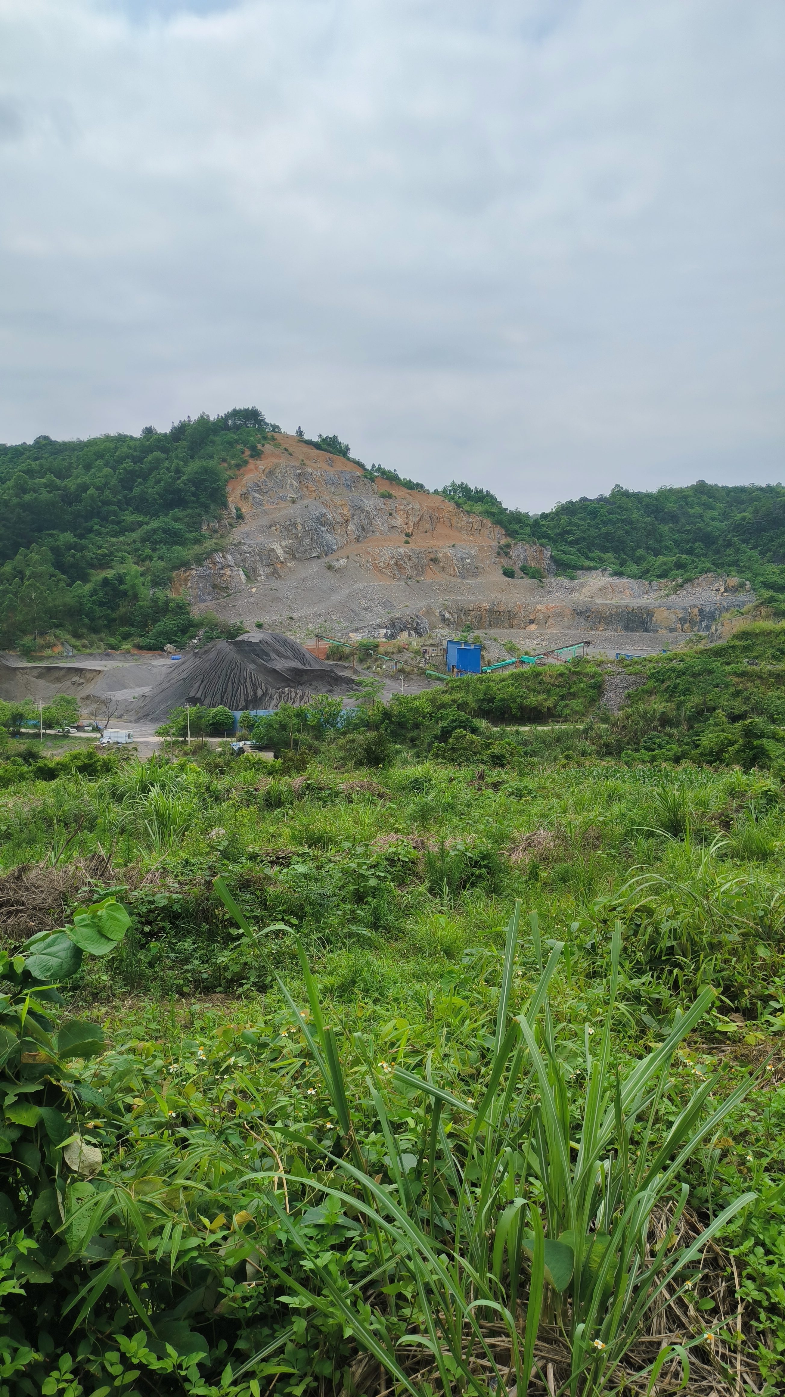 我们是否也应该学会像玫瑰花一样,用适当的方式保护自己呢?