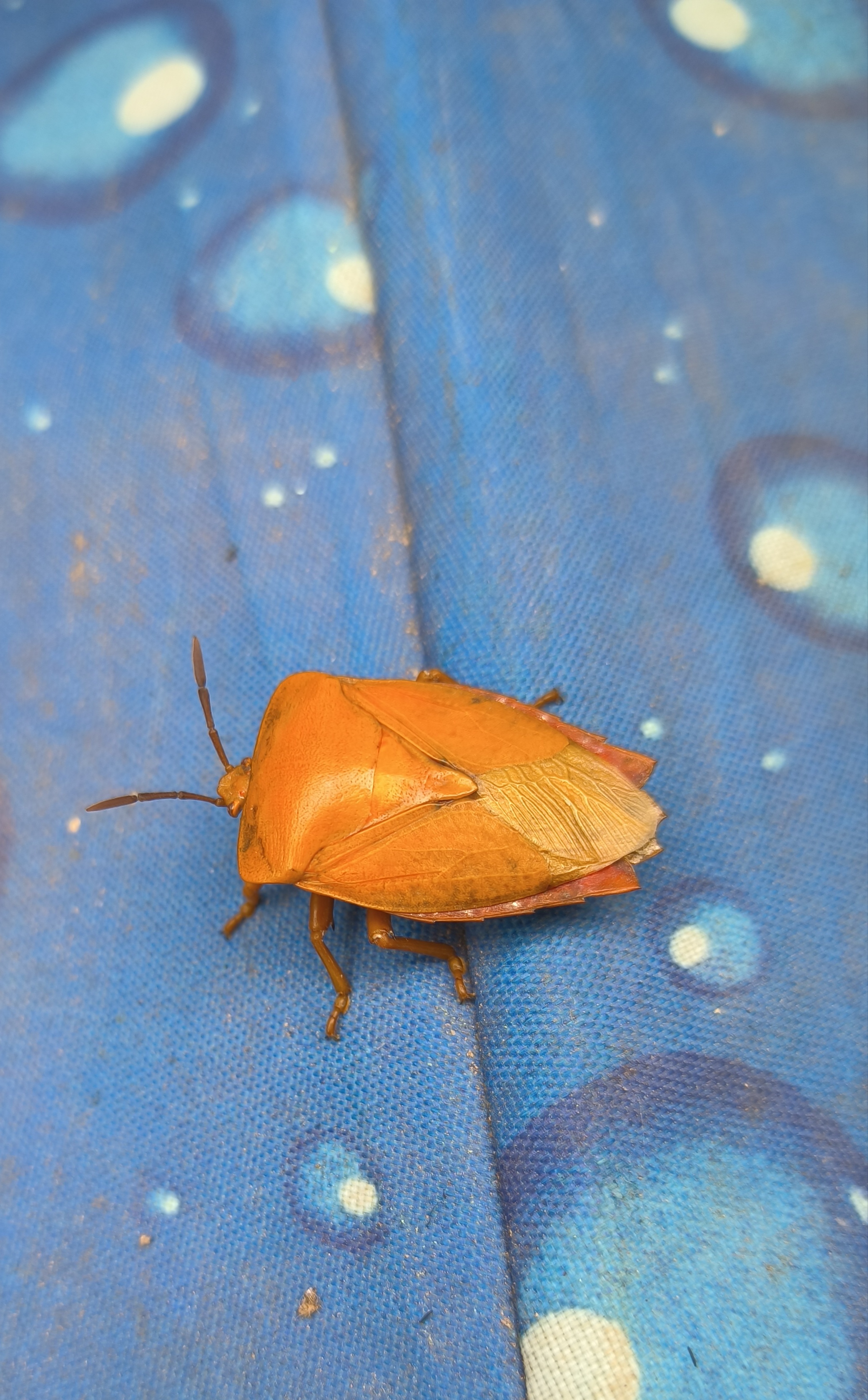 每个人都有权利选择自己的生活方式,即使这意味着成为一个边缘人