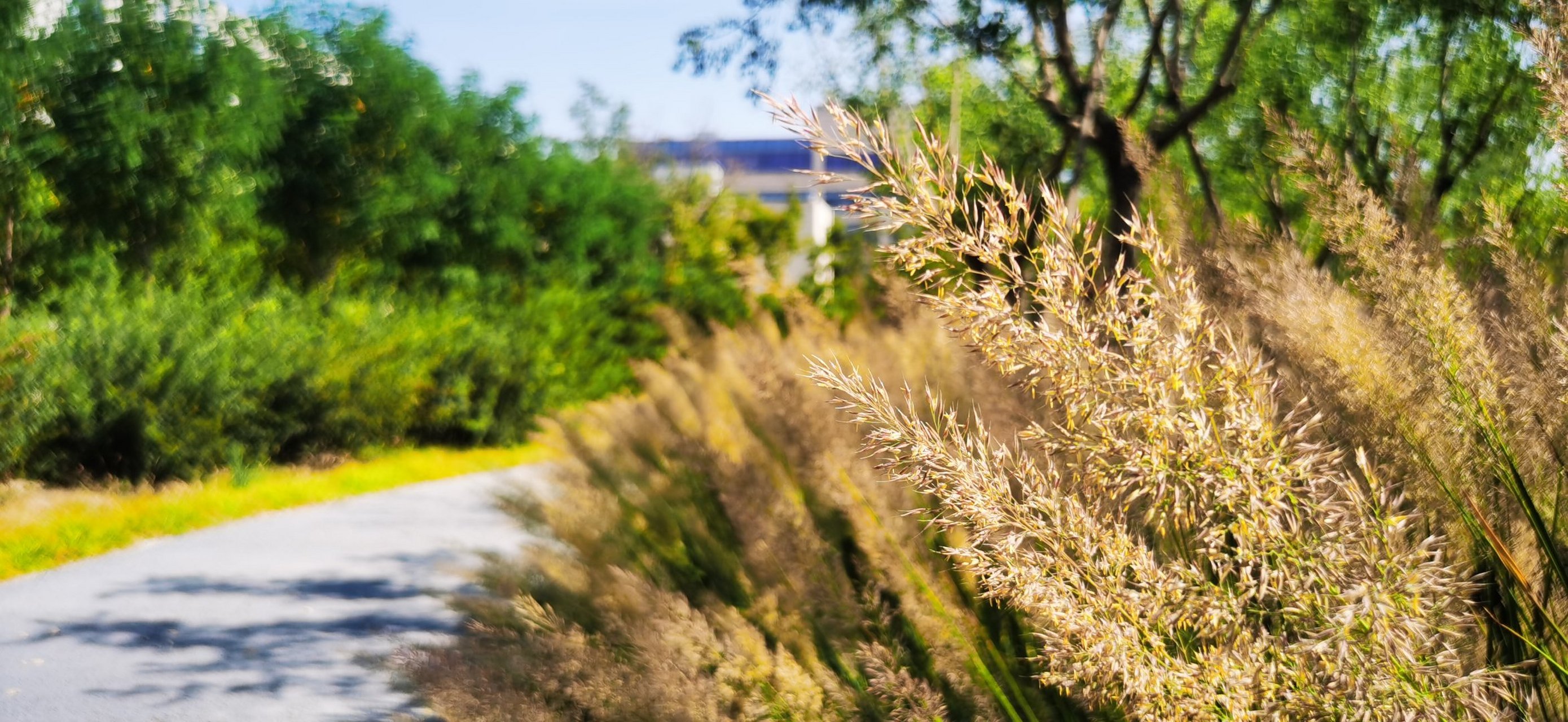 午后四惠惠水湾森林公园散步小憩随手拍照记.