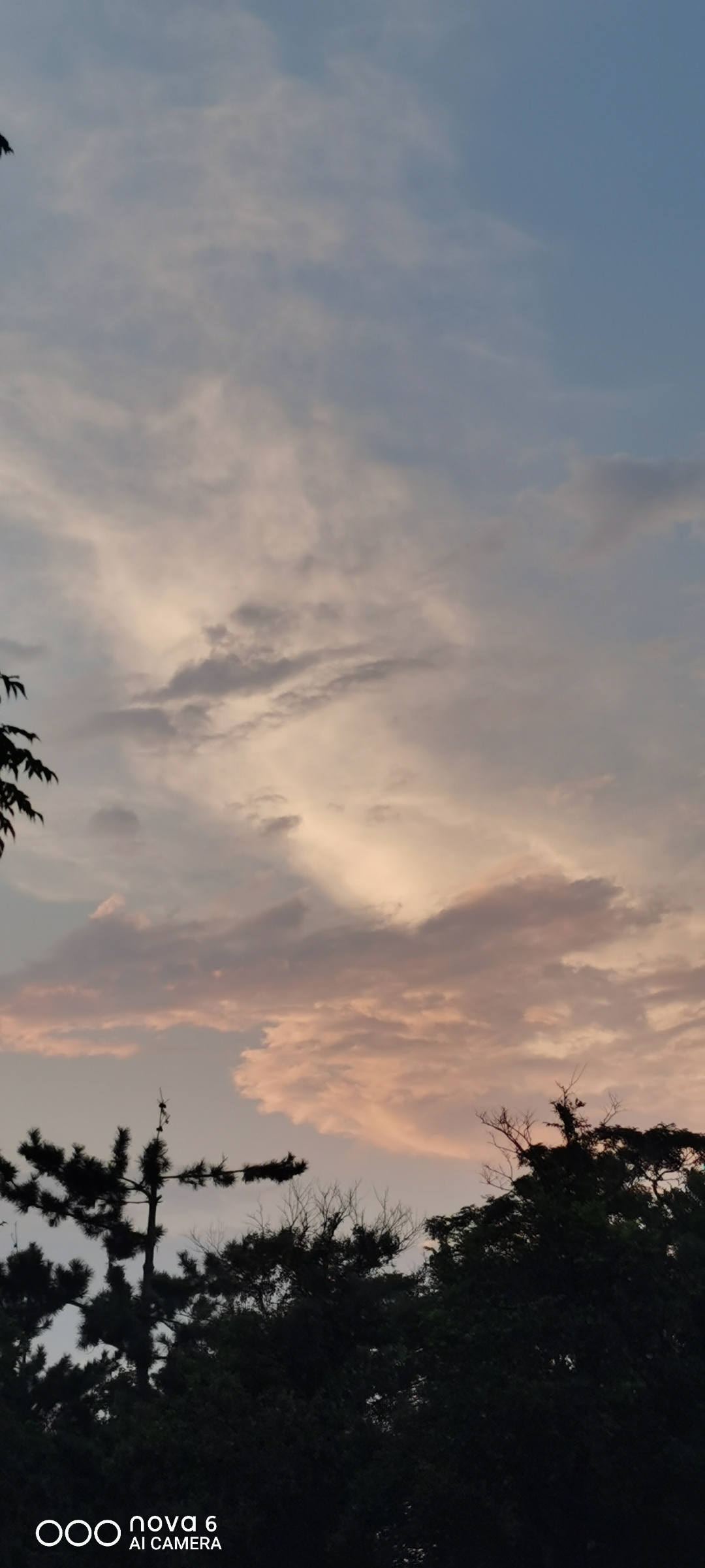 坐看云卷云舒,静听花开花落,任凭潮起潮落,坦荡一生无悔!