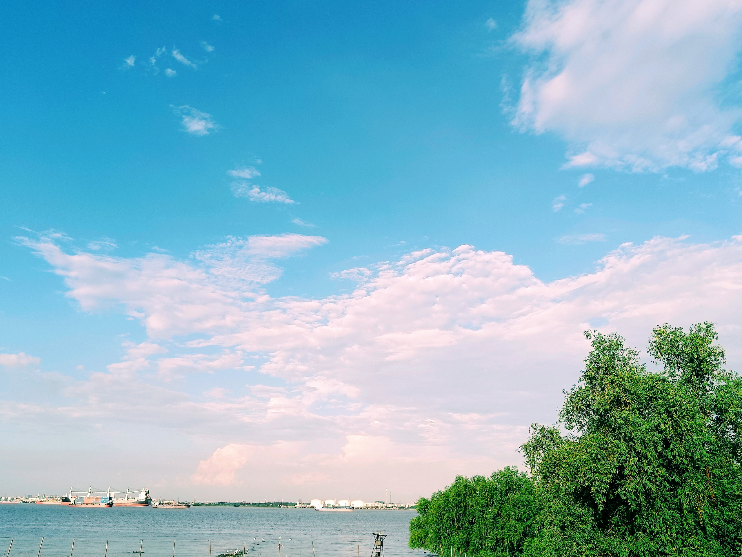 海鸥岛～南沙大桥