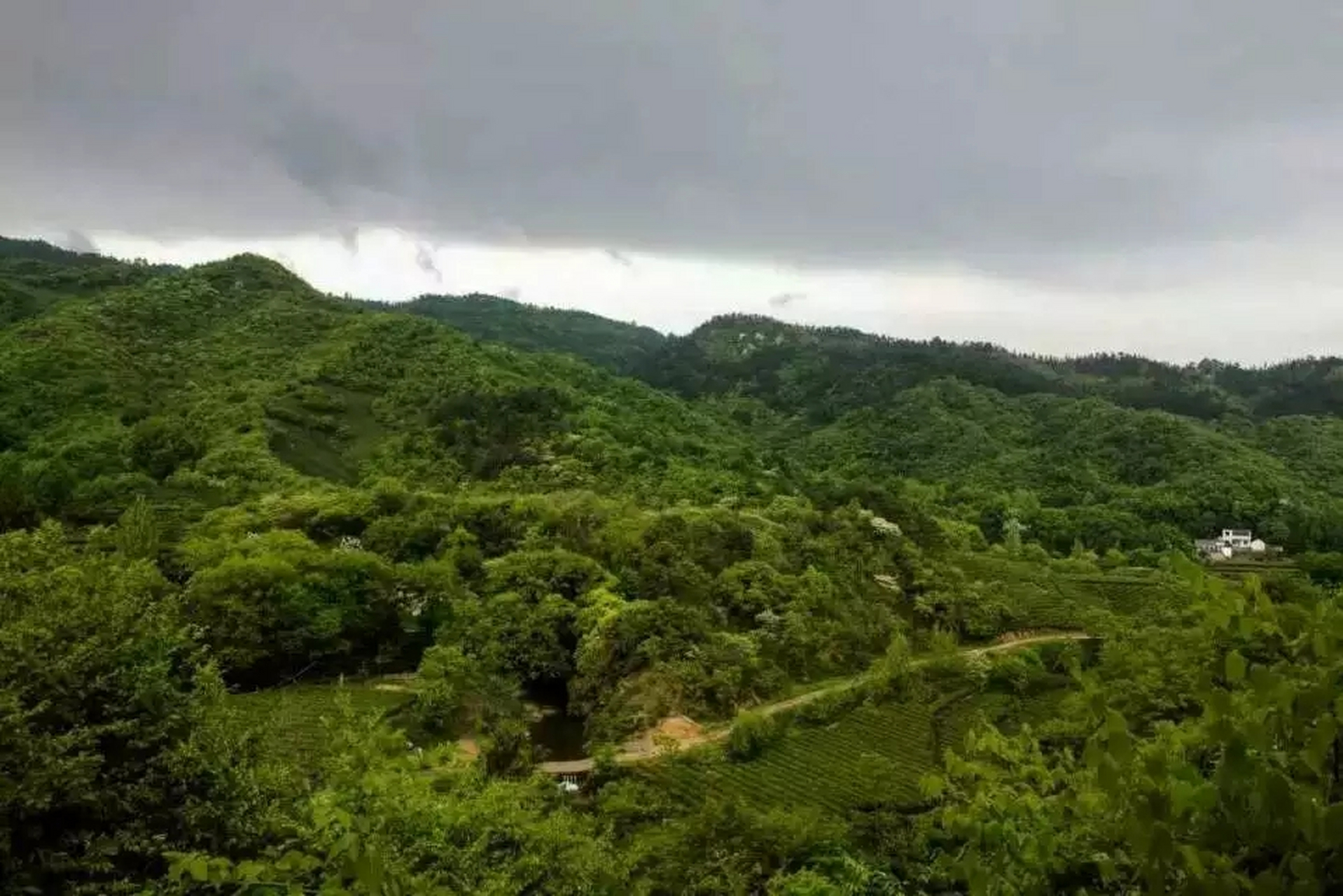 《去往何处 时光走的太快,转眼又是秋天,夕阳温善又有清凉的风拂过