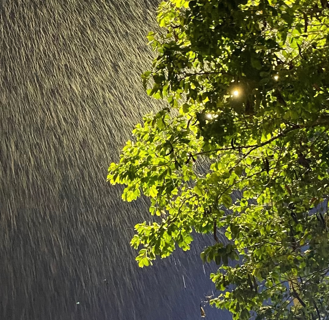 生锈的感情又逢下雨天 晴天适合见面,雨天适合想念 生锈的齿轮