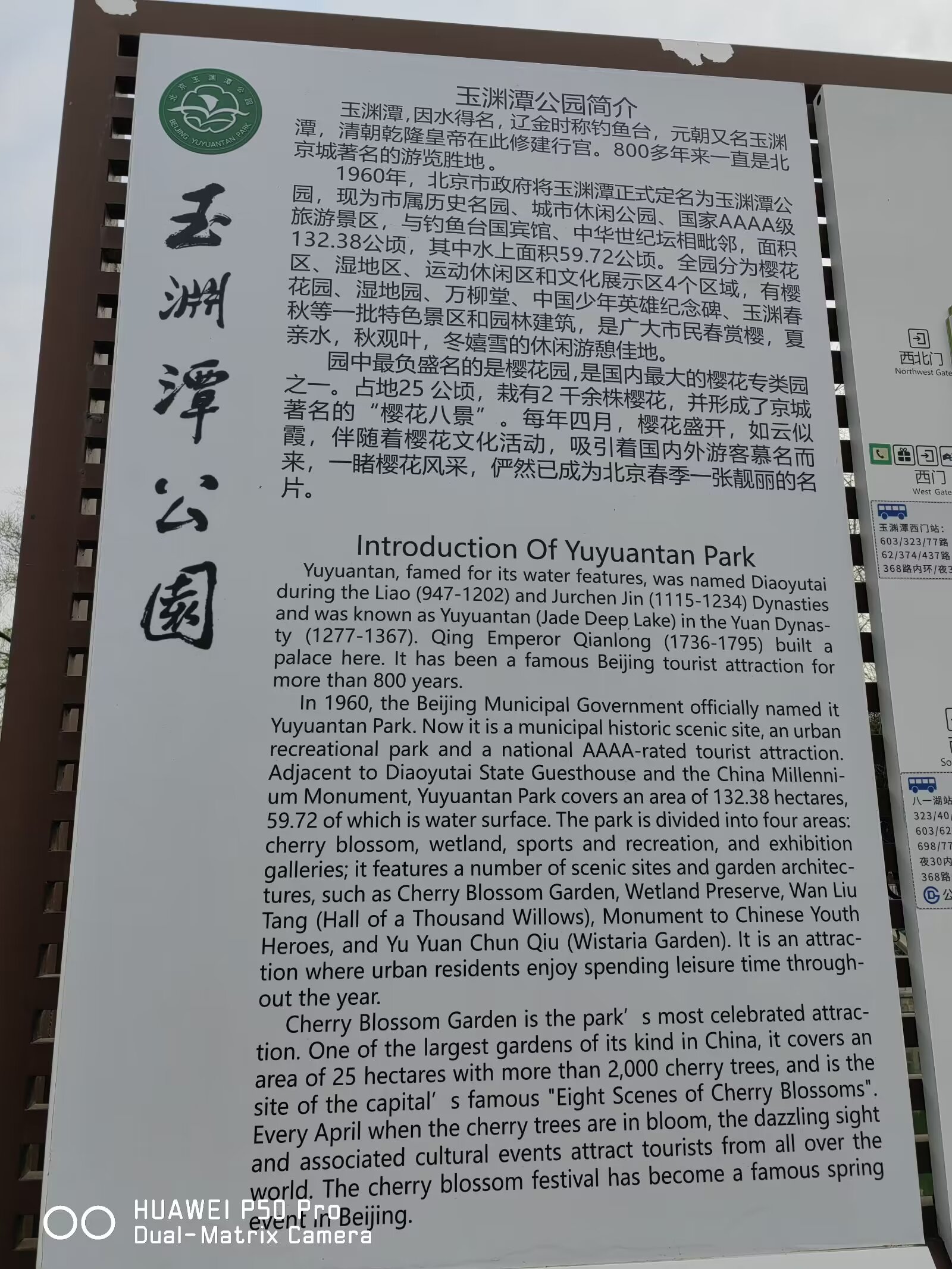北京玉渊潭公园 旅游北京玉渊潭,樱花树下留个影.
