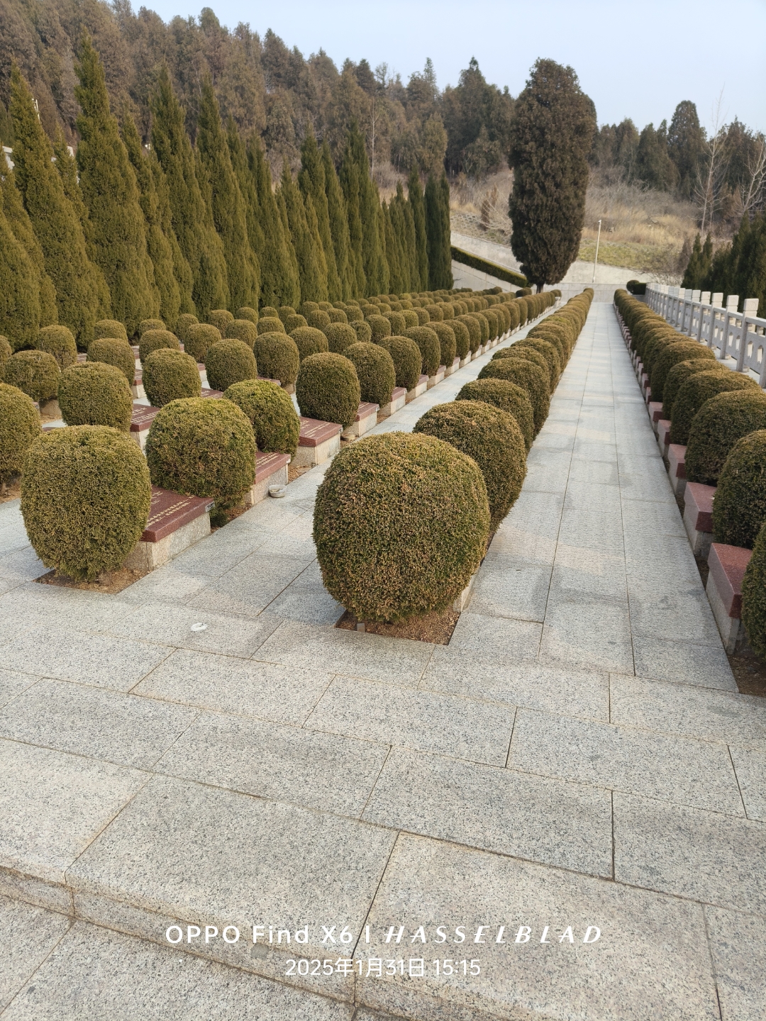 泱泱华夏的每一寸土地都浸染着你们的鲜血,国人当以