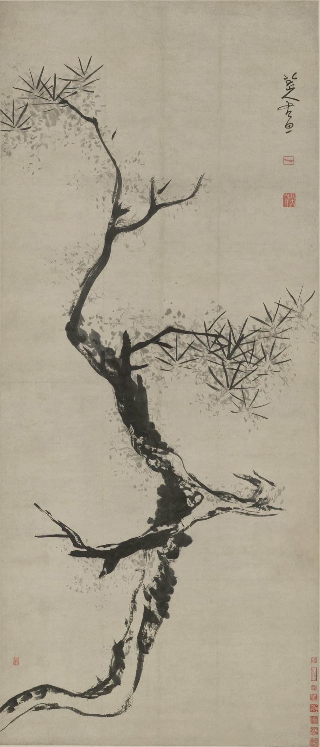 朱耷《松》纵180cm,横77cm北京故宫博物院藏