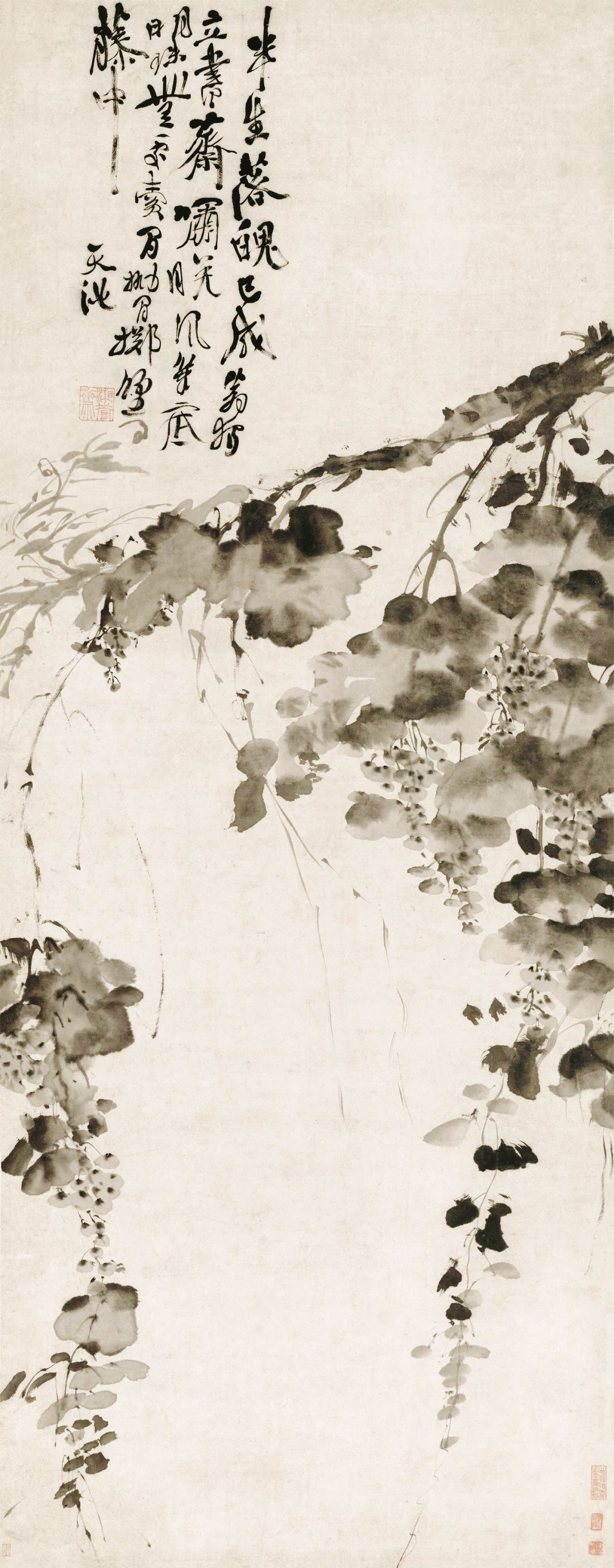 明 徐渭《葡萄图》 纸本水墨 165cmx64cm