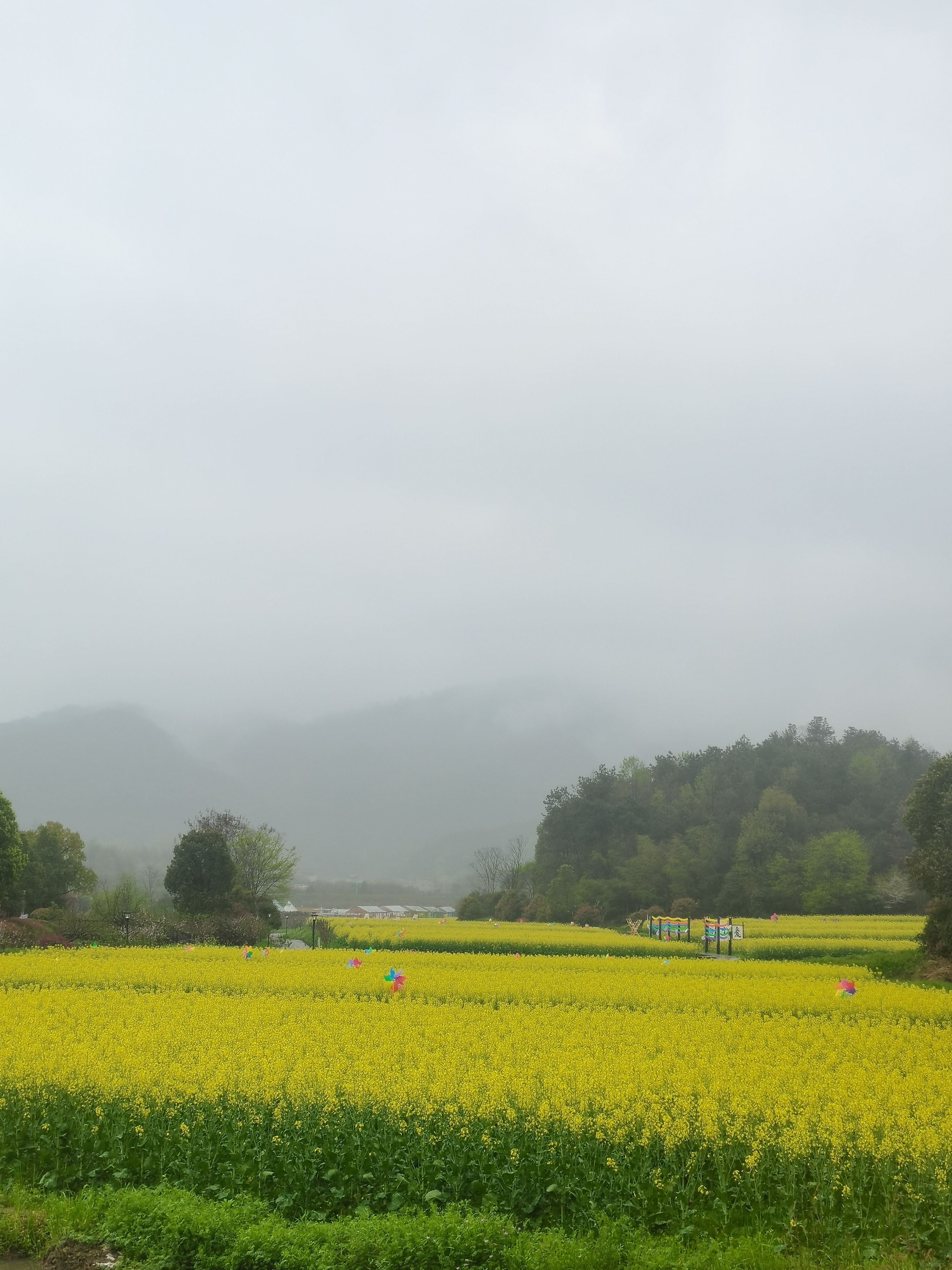 感慨图片风景图片图片