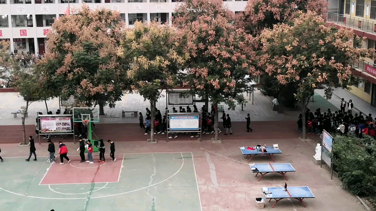 步伐整齐,激情四射的南乐县黄冈中学早操!