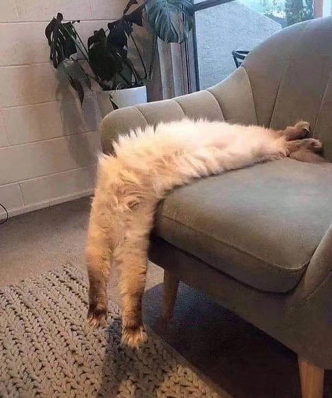 跟现在一回宿舍就想躺尸相比,高中是人生到此为止最认真的阶段