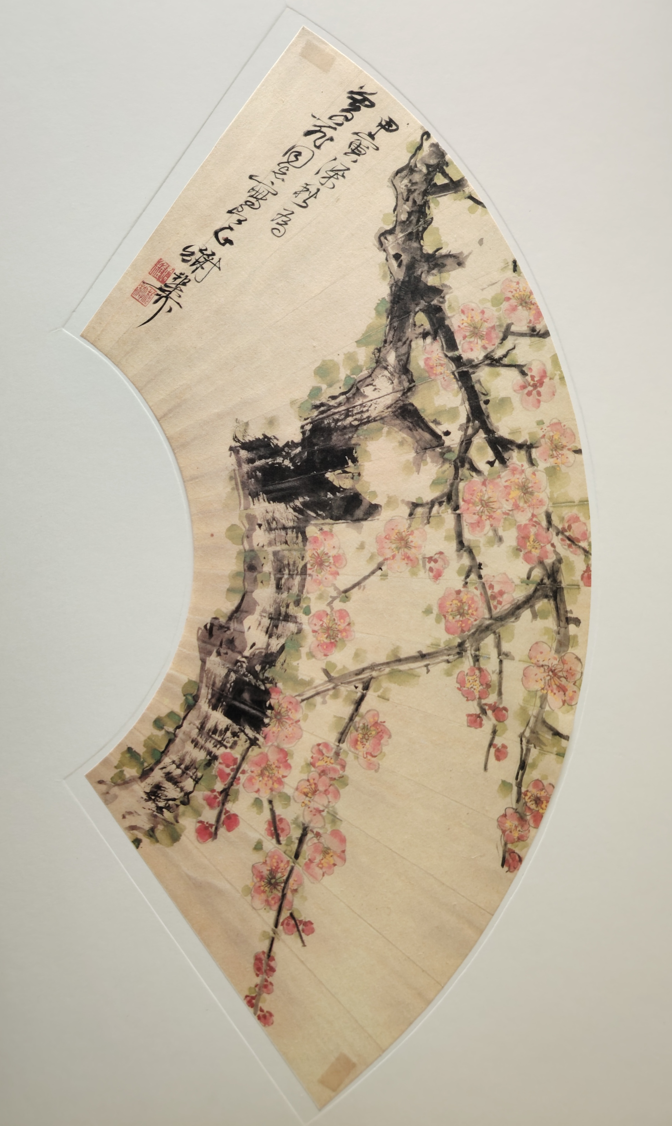 收藏的一幅谢稚柳的梅花扇面画  谢稚柳(1910年—1997年6月1日),原名