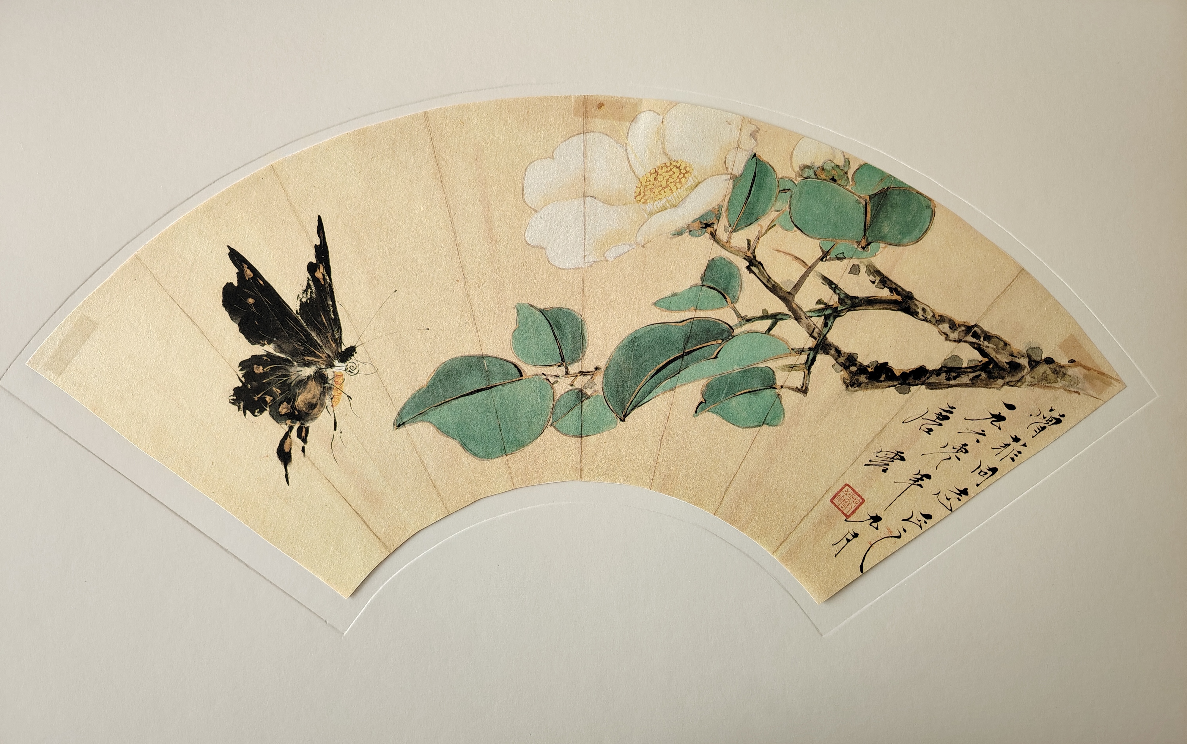 收藏的两幅唐云的花鸟扇面画  唐云(1910年-1993年),字侠尘,别号药城