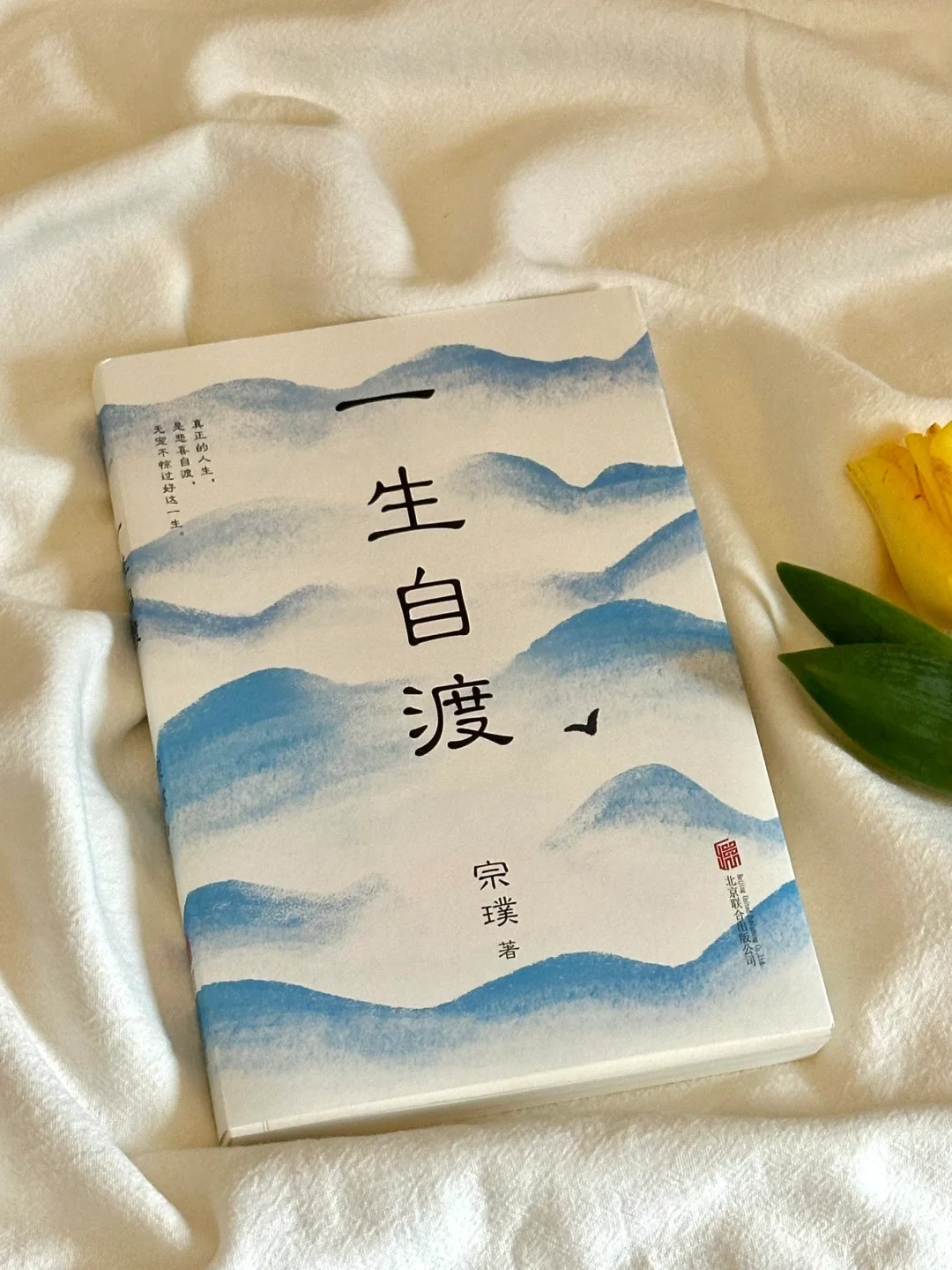 是在这个薄情的世界里深情的当个看客莫在他人的认知里雕琢自己配图
