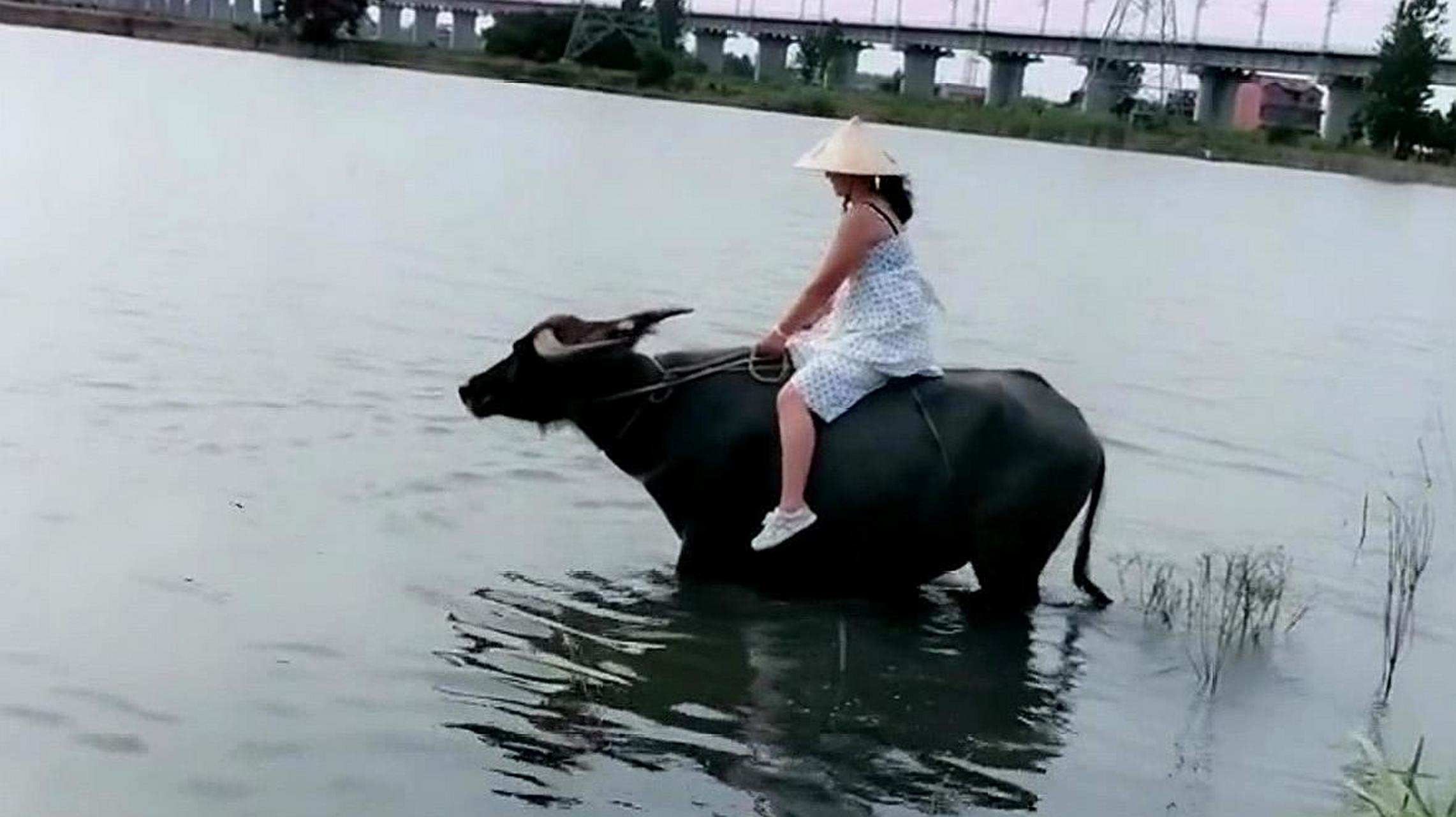 1,小時候夏天穿著褲衩走在池塘邊,突然隔壁的老王看到我,突發奇想