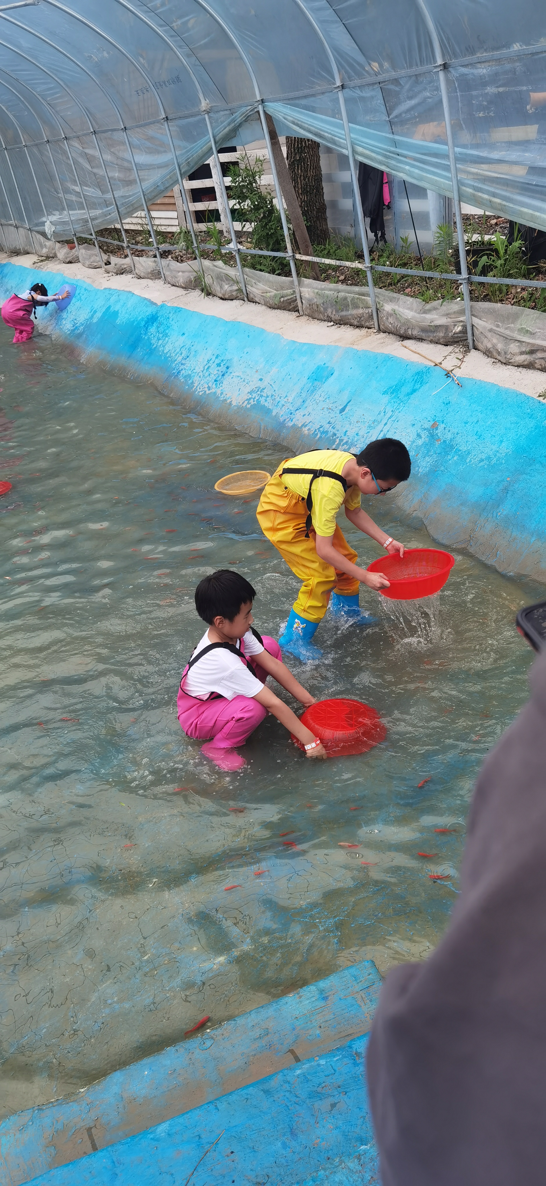 今天下午小朋友们浑水摸鱼了. 其他就是爬爬跳跳. 后面就是玩游戏