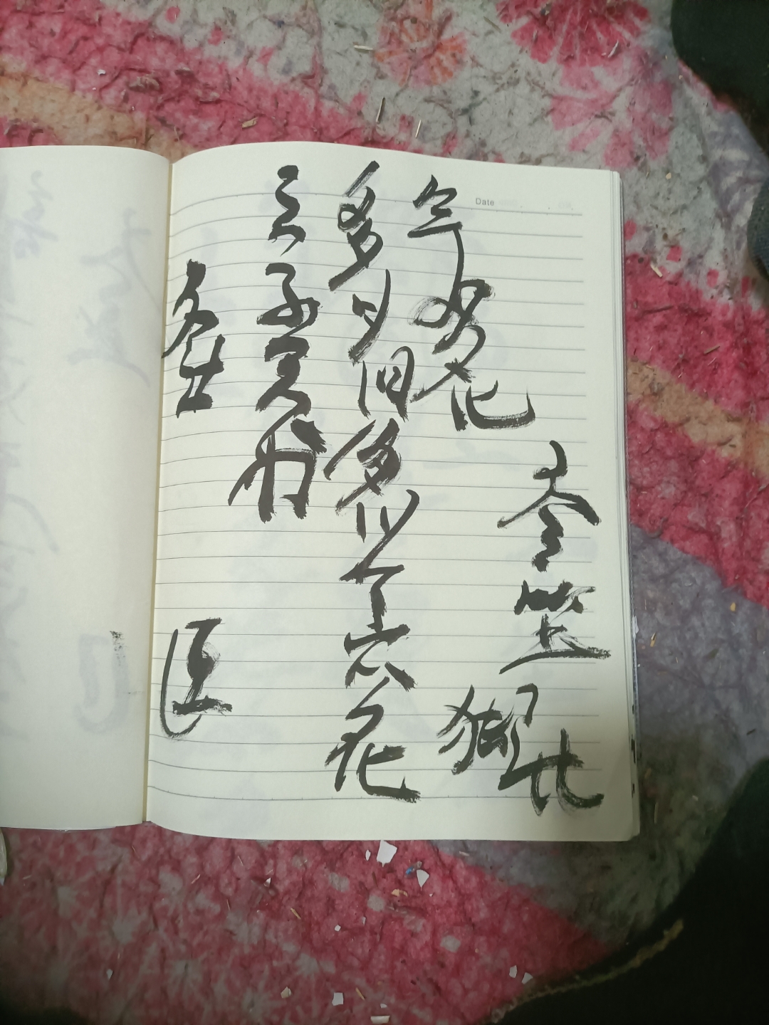 今天从侧面了解了一下你的情况,发现你侧面也很美. 676767