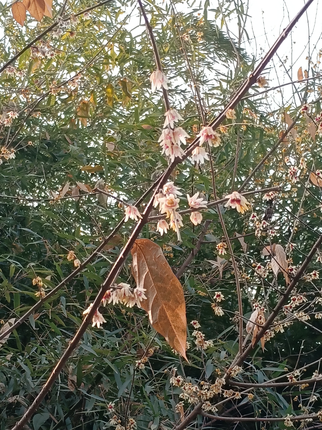 沣峪口转盘图片